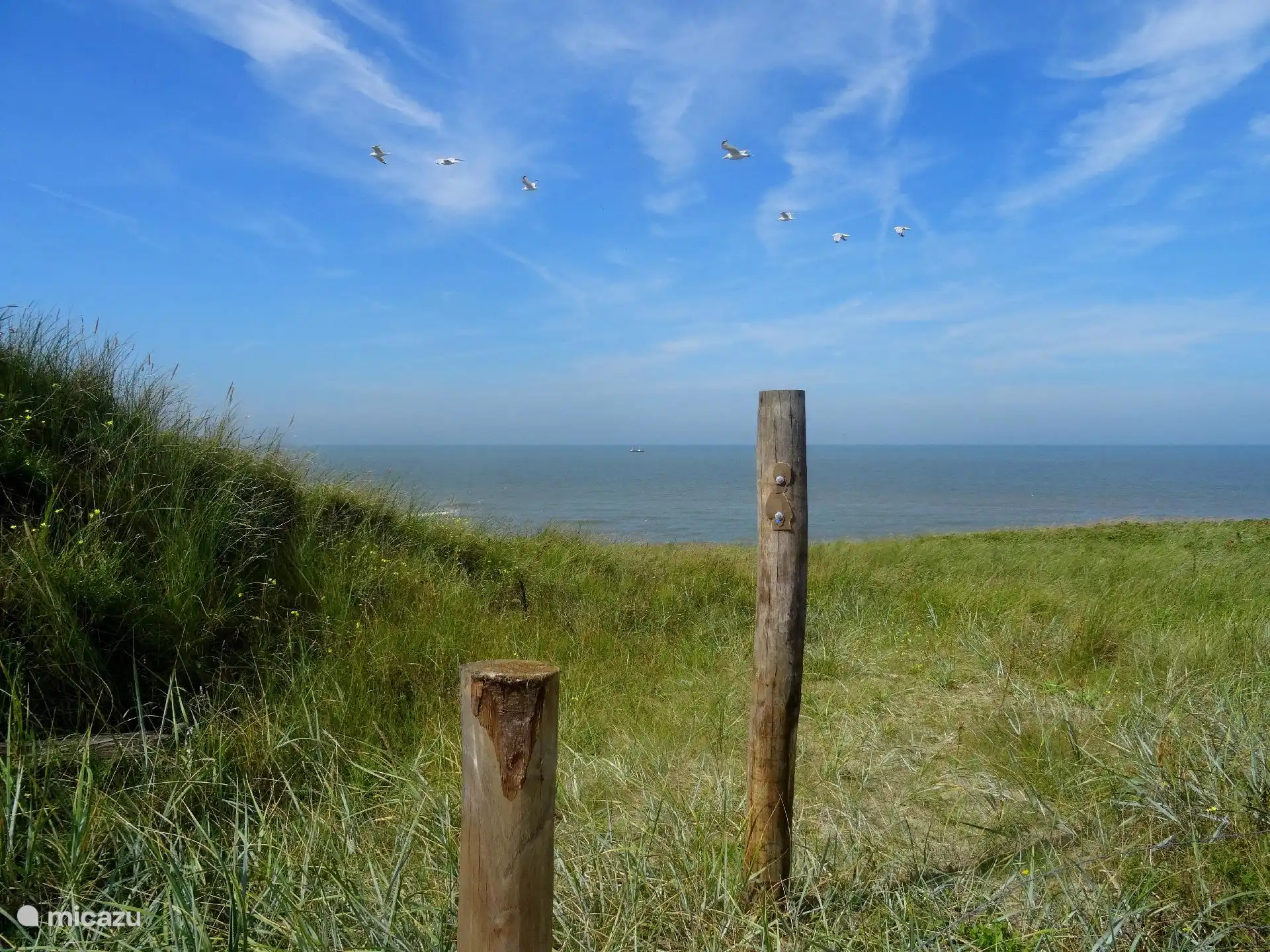 Strand und Dünen