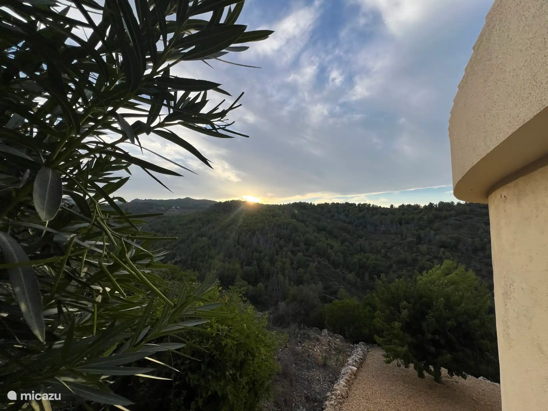 View from the house