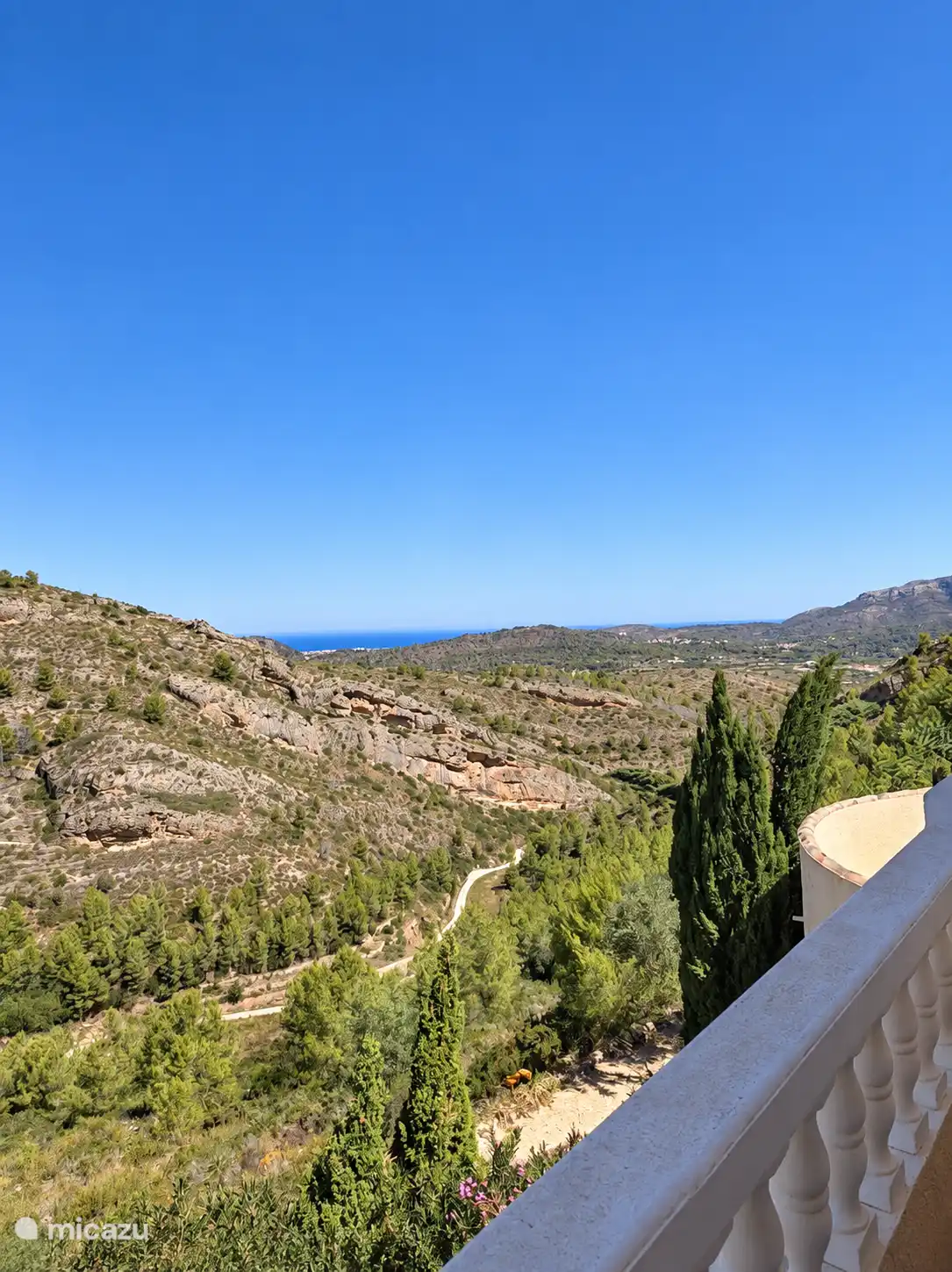 View from the house