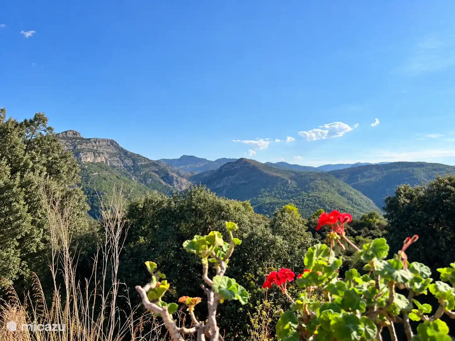 La vista de las montañas