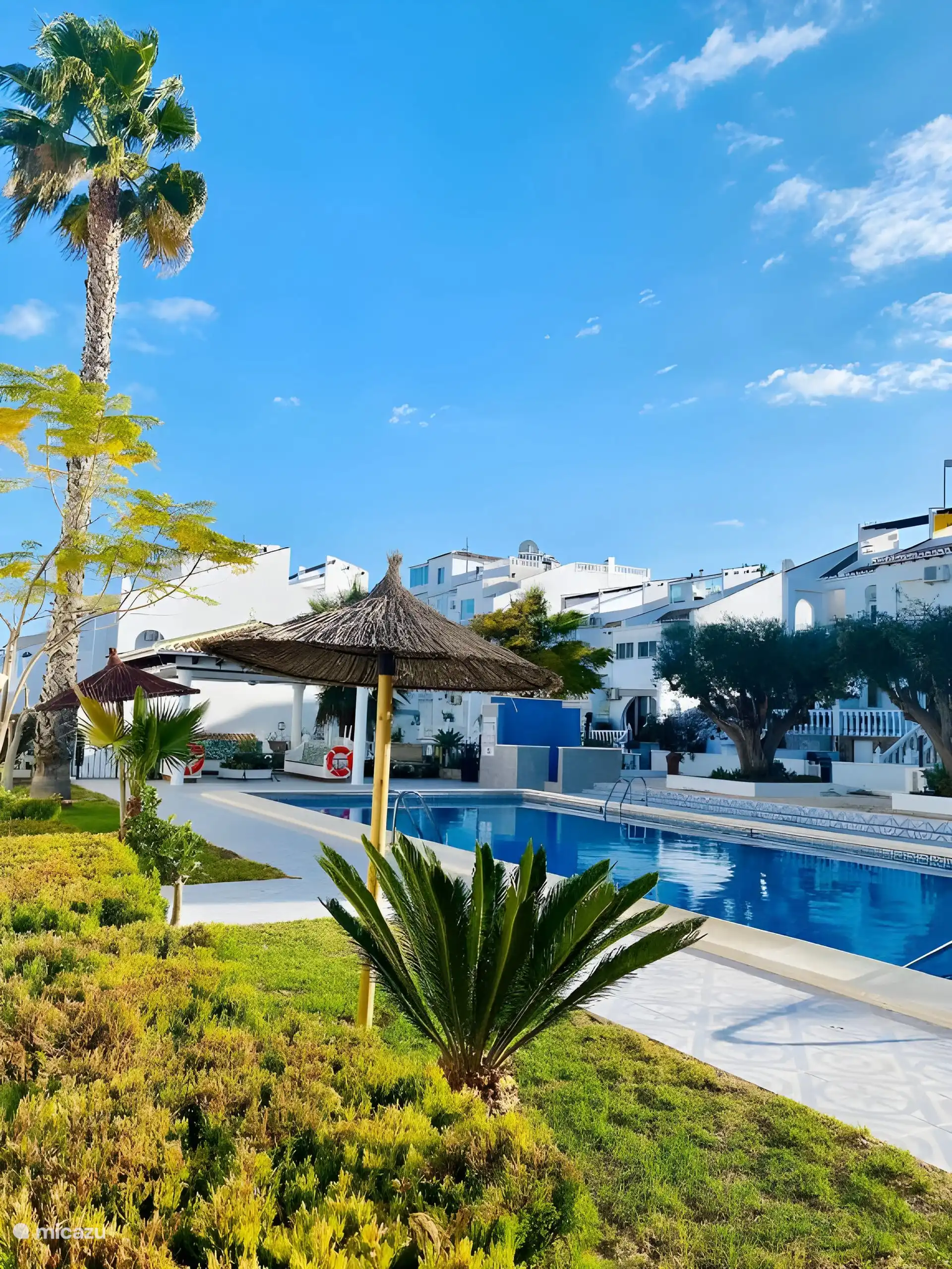 Piscine commune