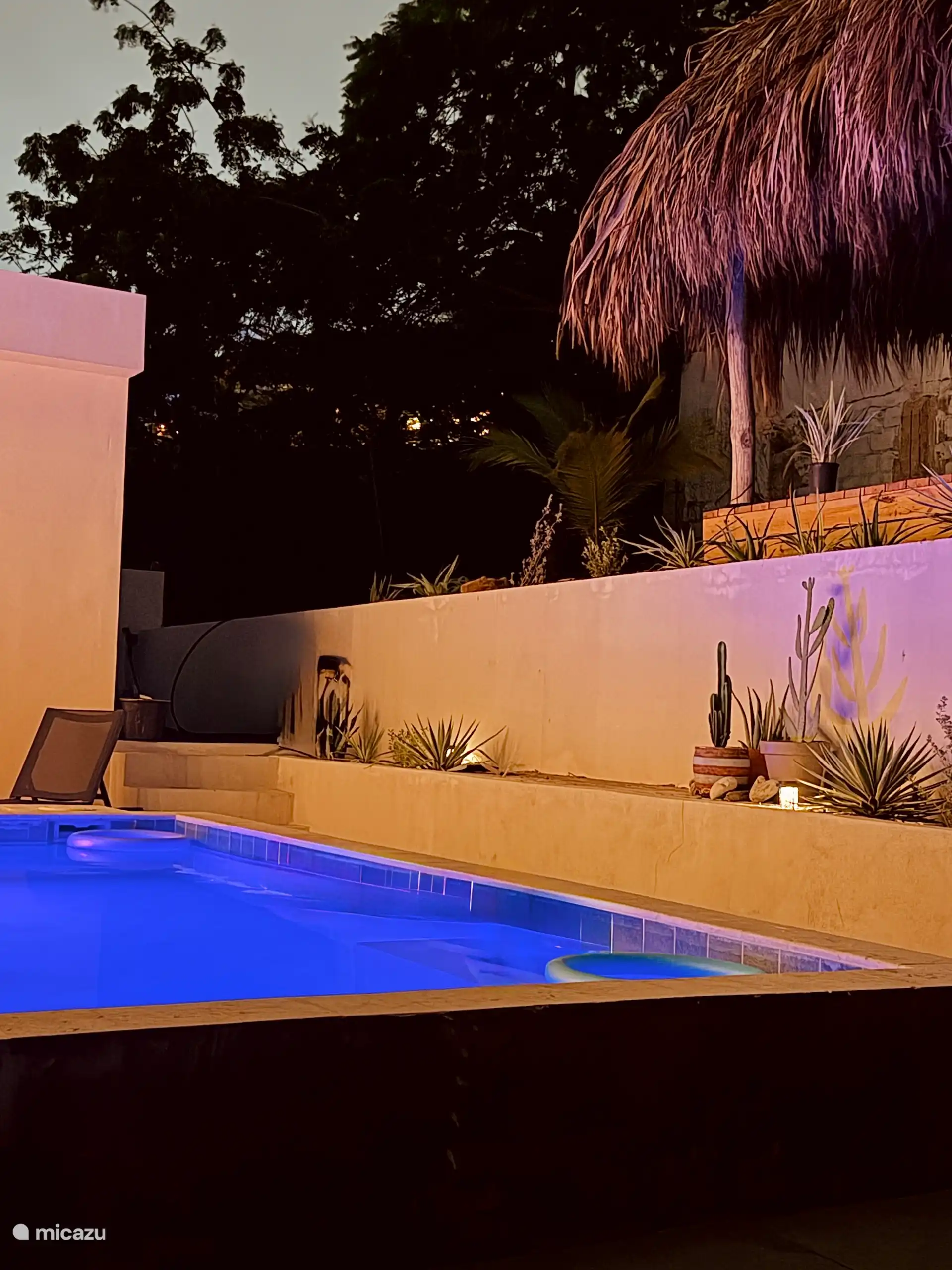 Soirées étouffantes dans le jardin de Villa Luma, Curaçao