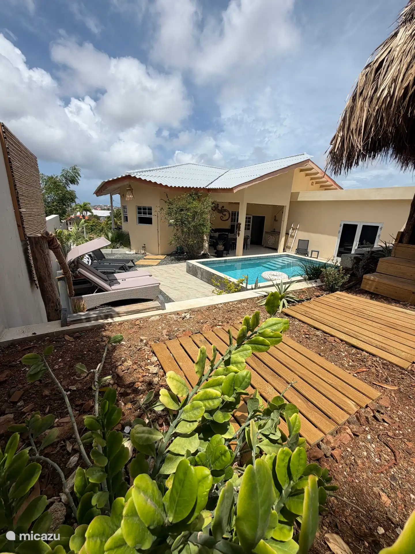 Le jardin tropical arrière.