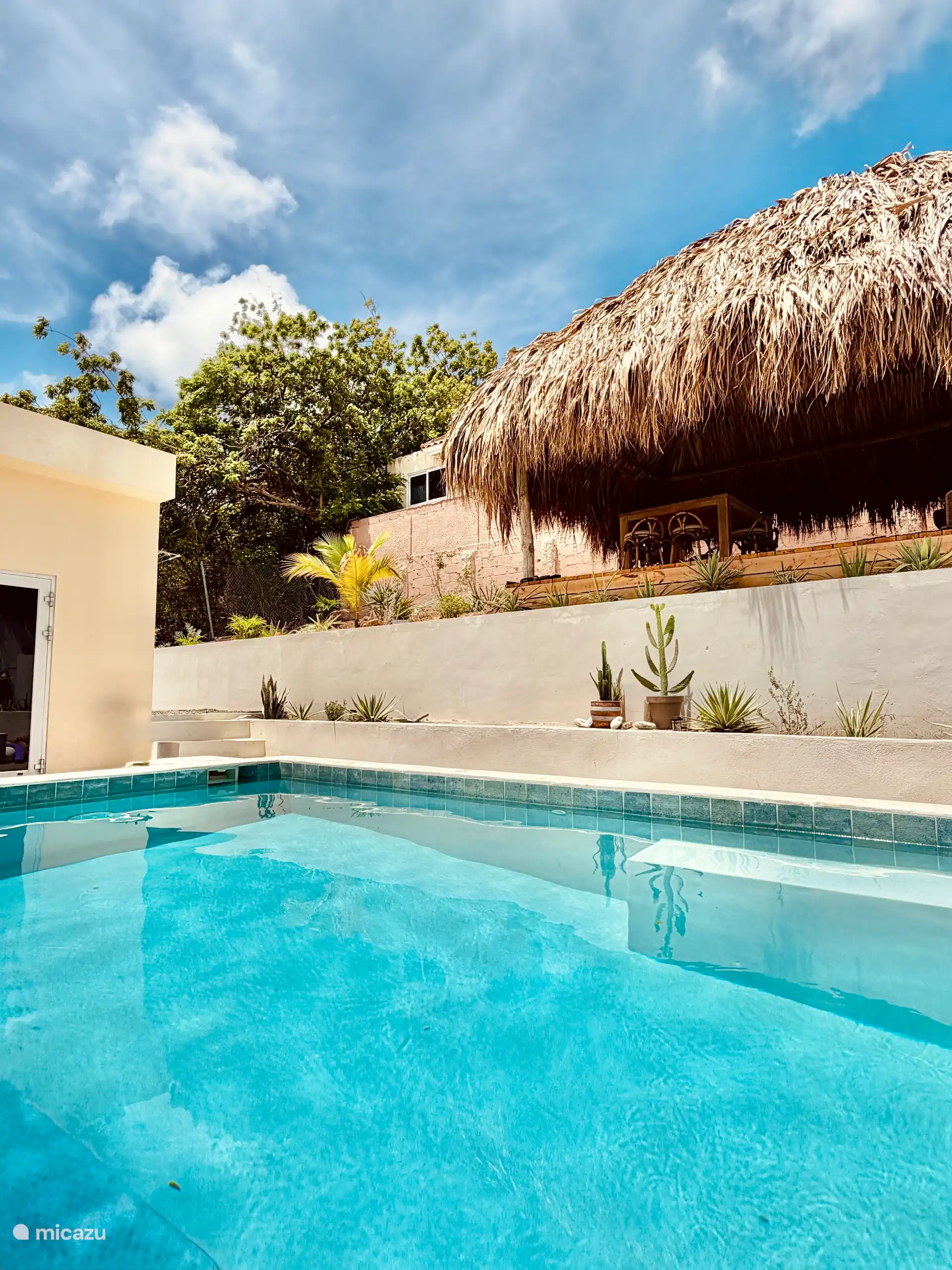 Large tropical backyard.