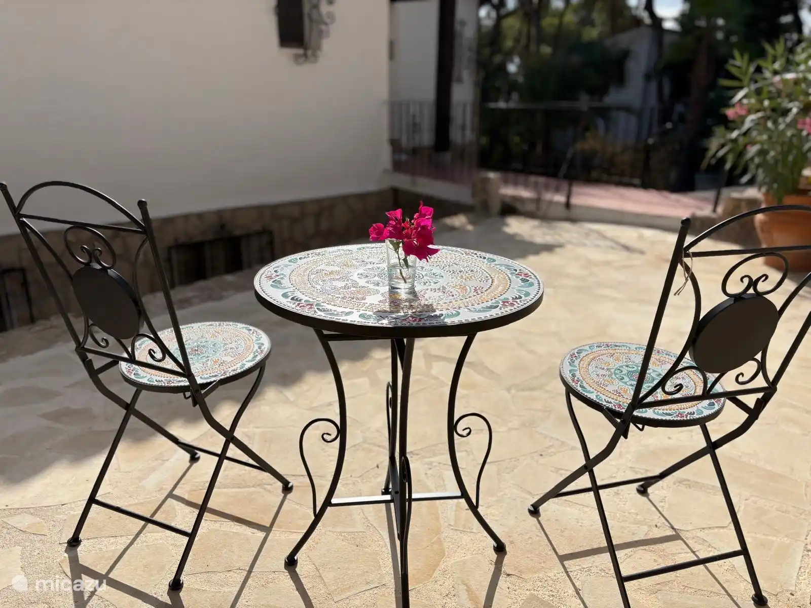 Photo détaillée de la maison en terrasse