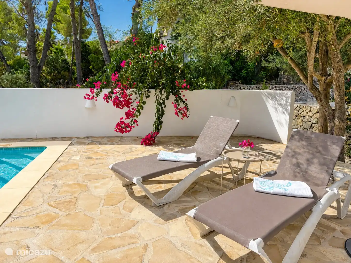 Des transats au bord de la piscine
