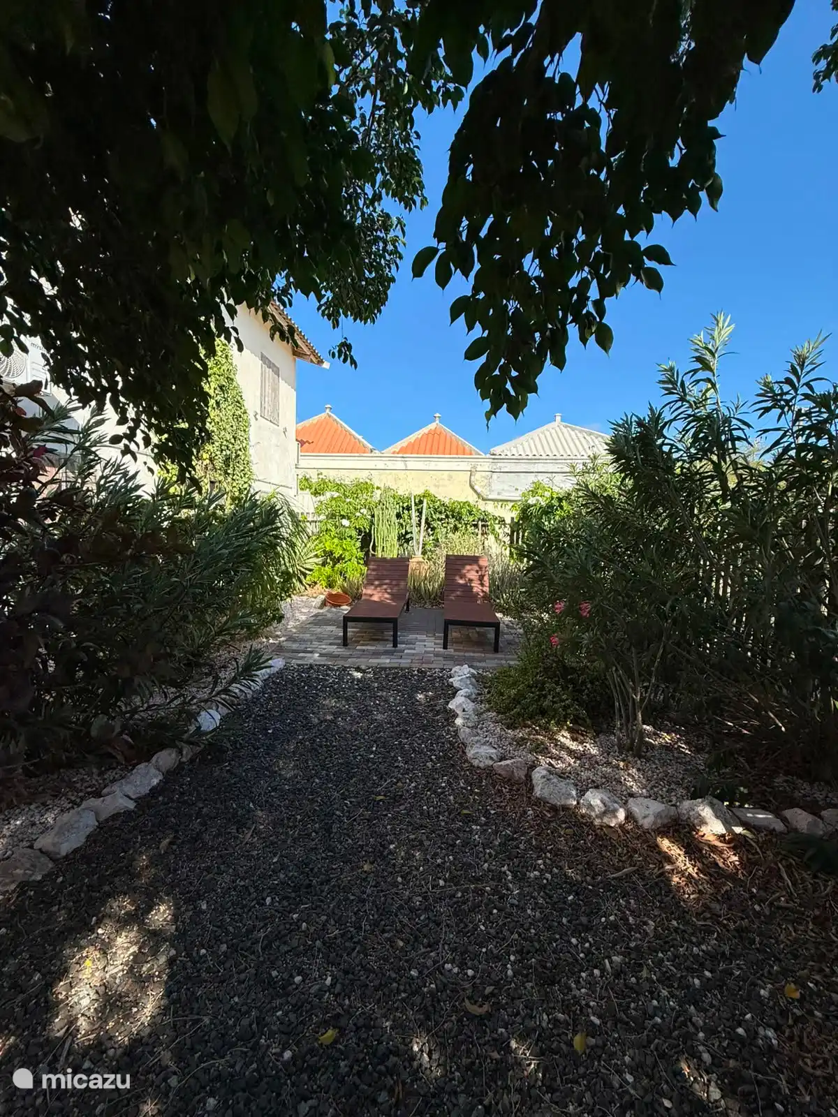 Jardin arrière avec transats