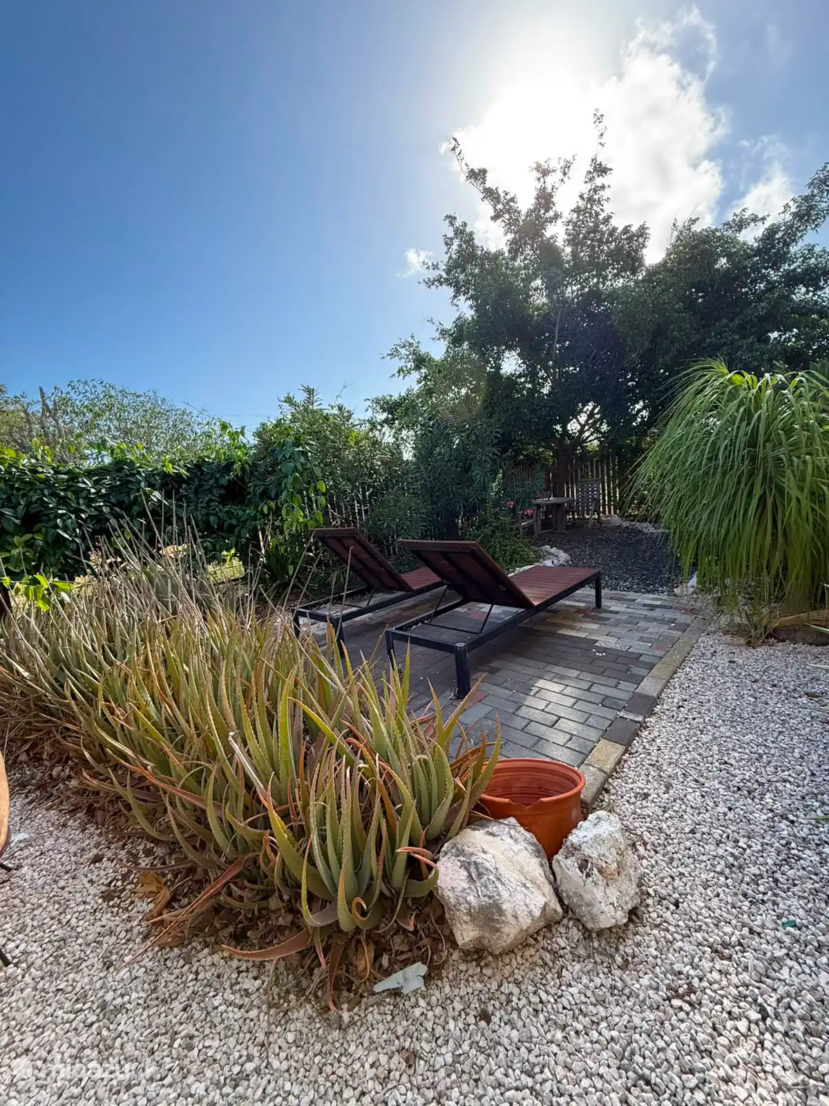 Jardin arrière