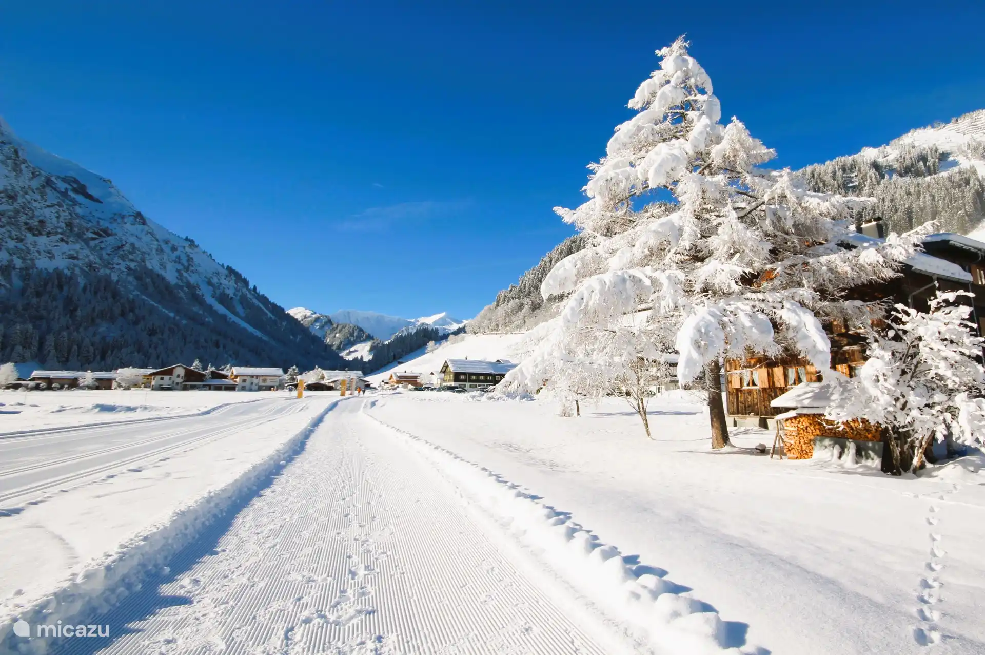 Winter wonderland