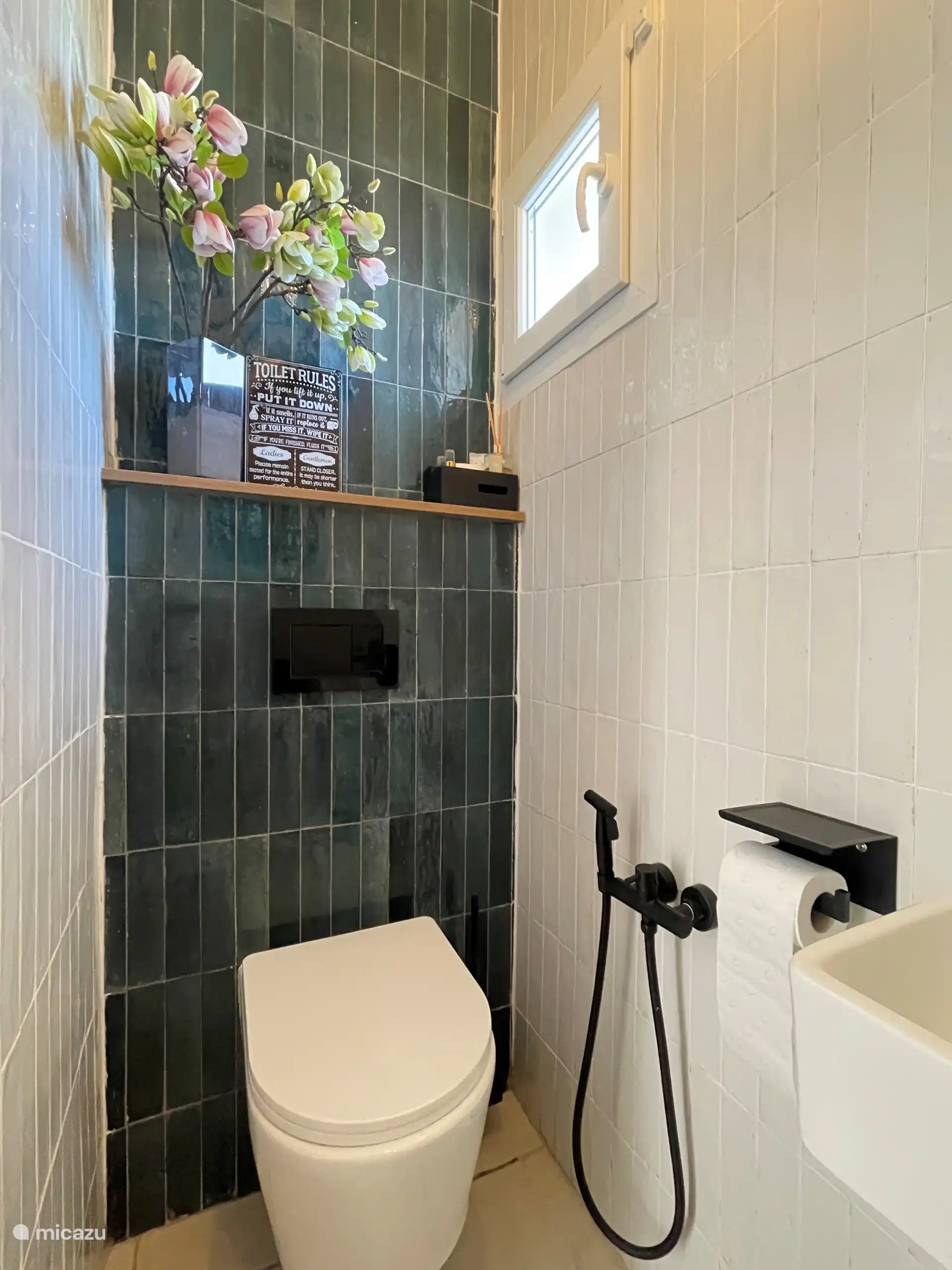 Apart toilet
