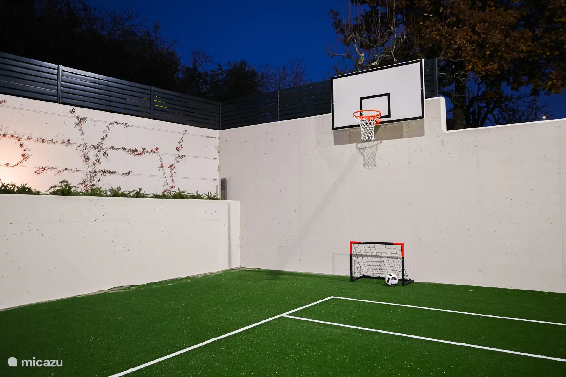 Basketbal