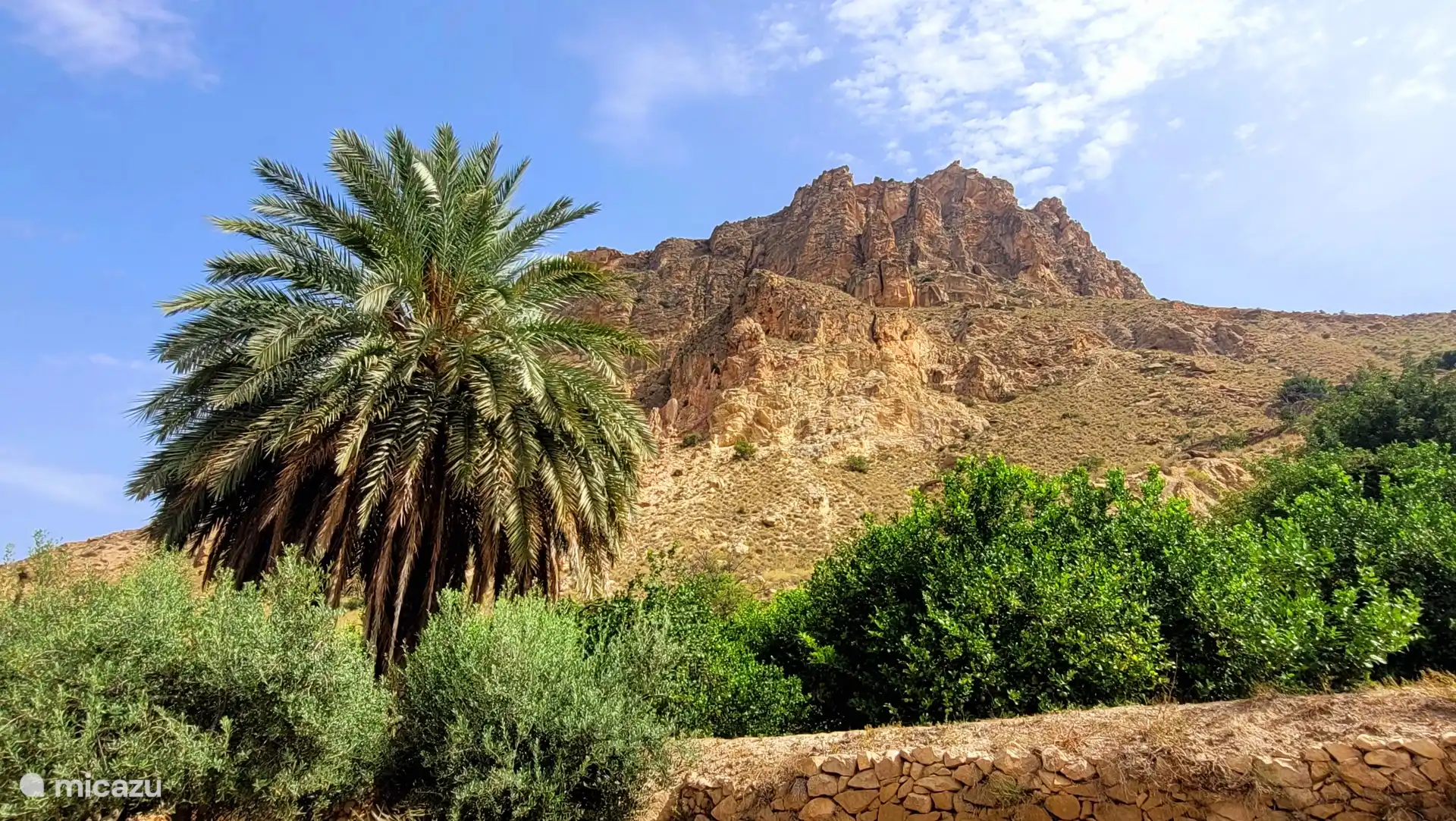 Omgeving Murcia