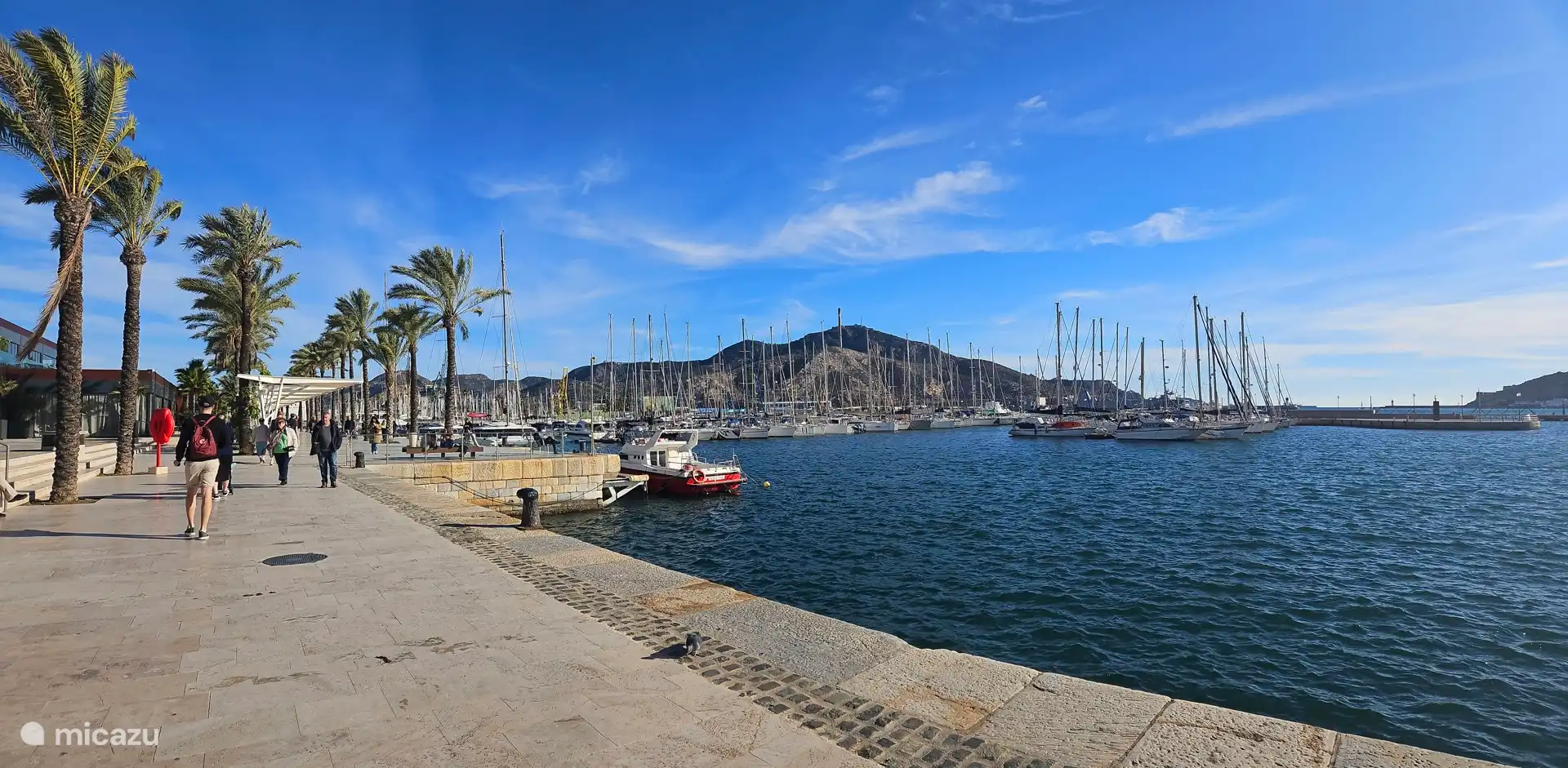 Haven Cartagena