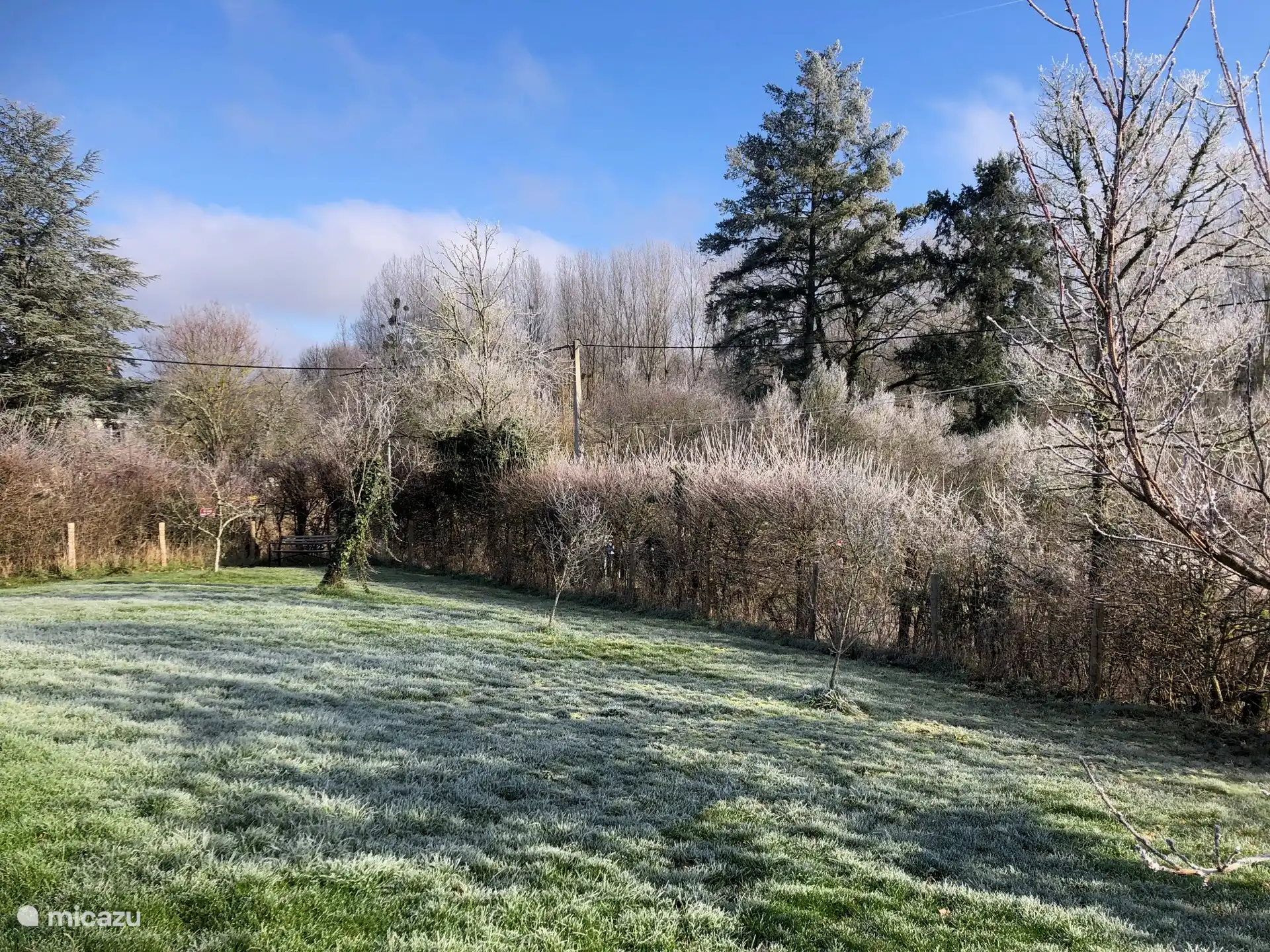 Frosty day 