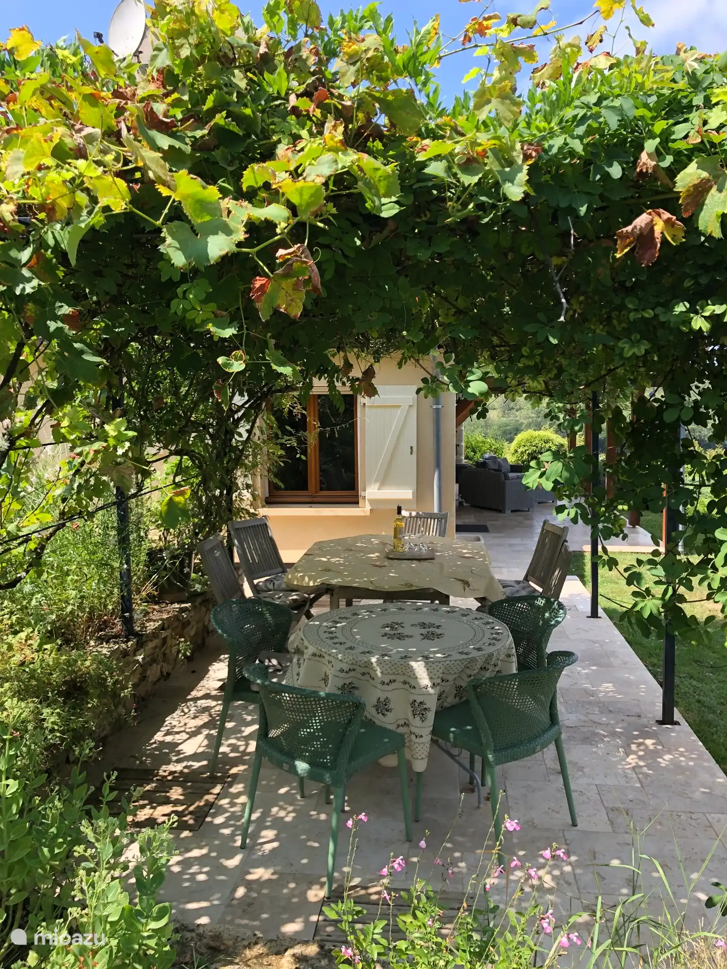 Terras 