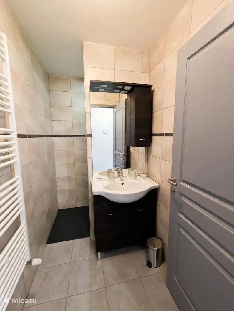 De badkamer: douche, wastafel met spiegel en verwarmde handdoekenrail.
