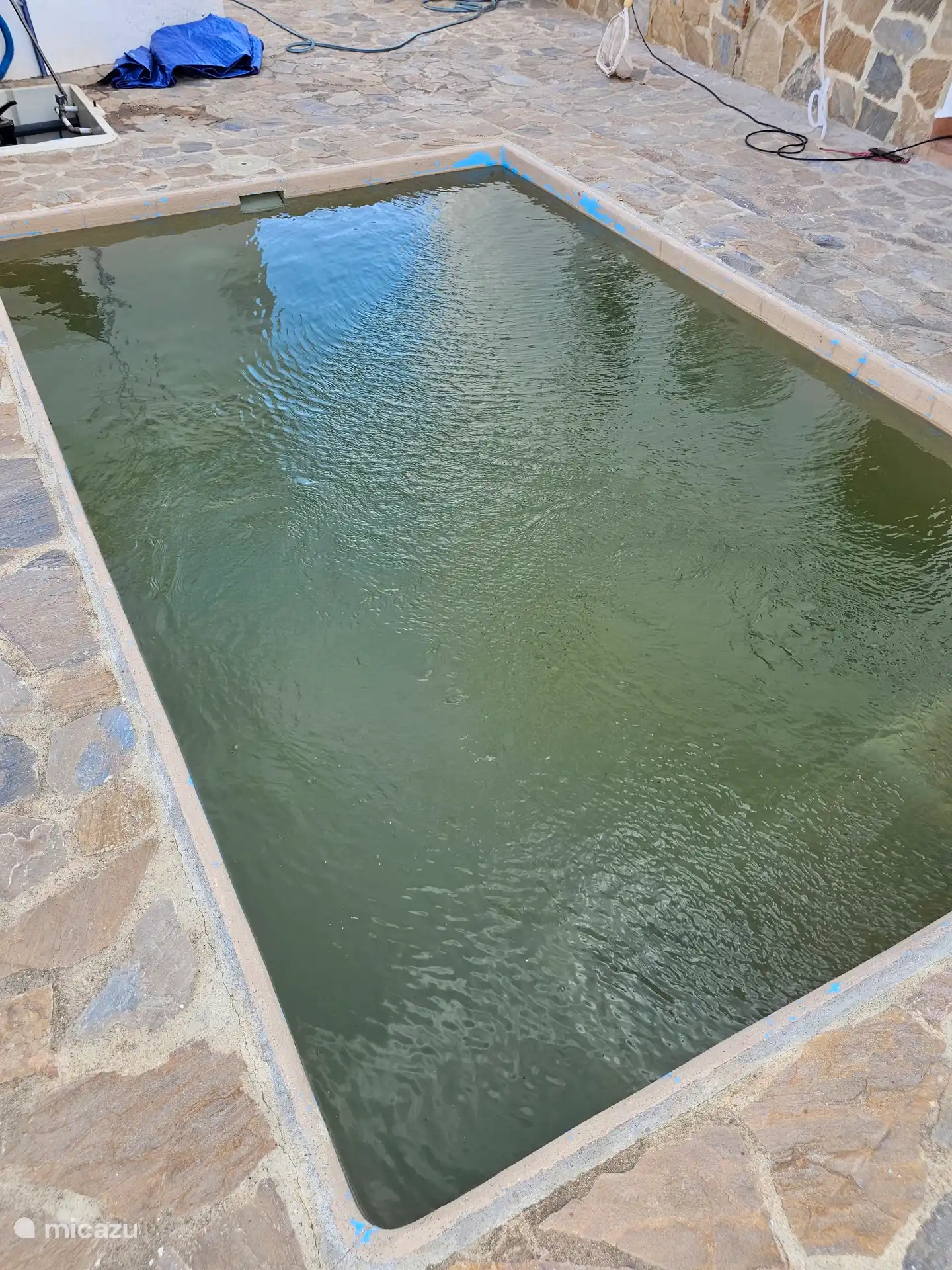 Het verwarmde zoutwaterzwembad van Cortijo MaSy is een heerlijke plek om te ontspannen, af te koelen en in alle rust van het Andalusische buitenleven te genieten.