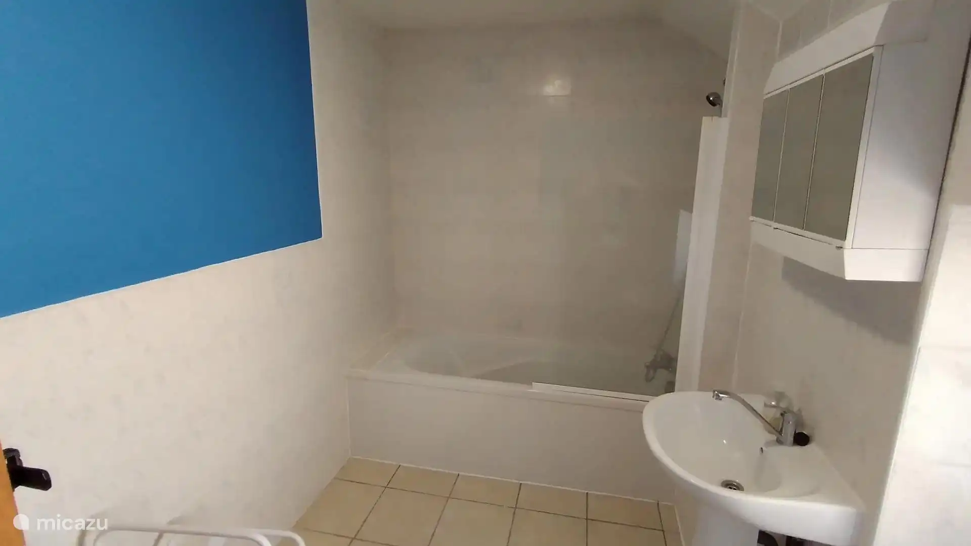 Grote familiebadkamer met douche boven het bad.