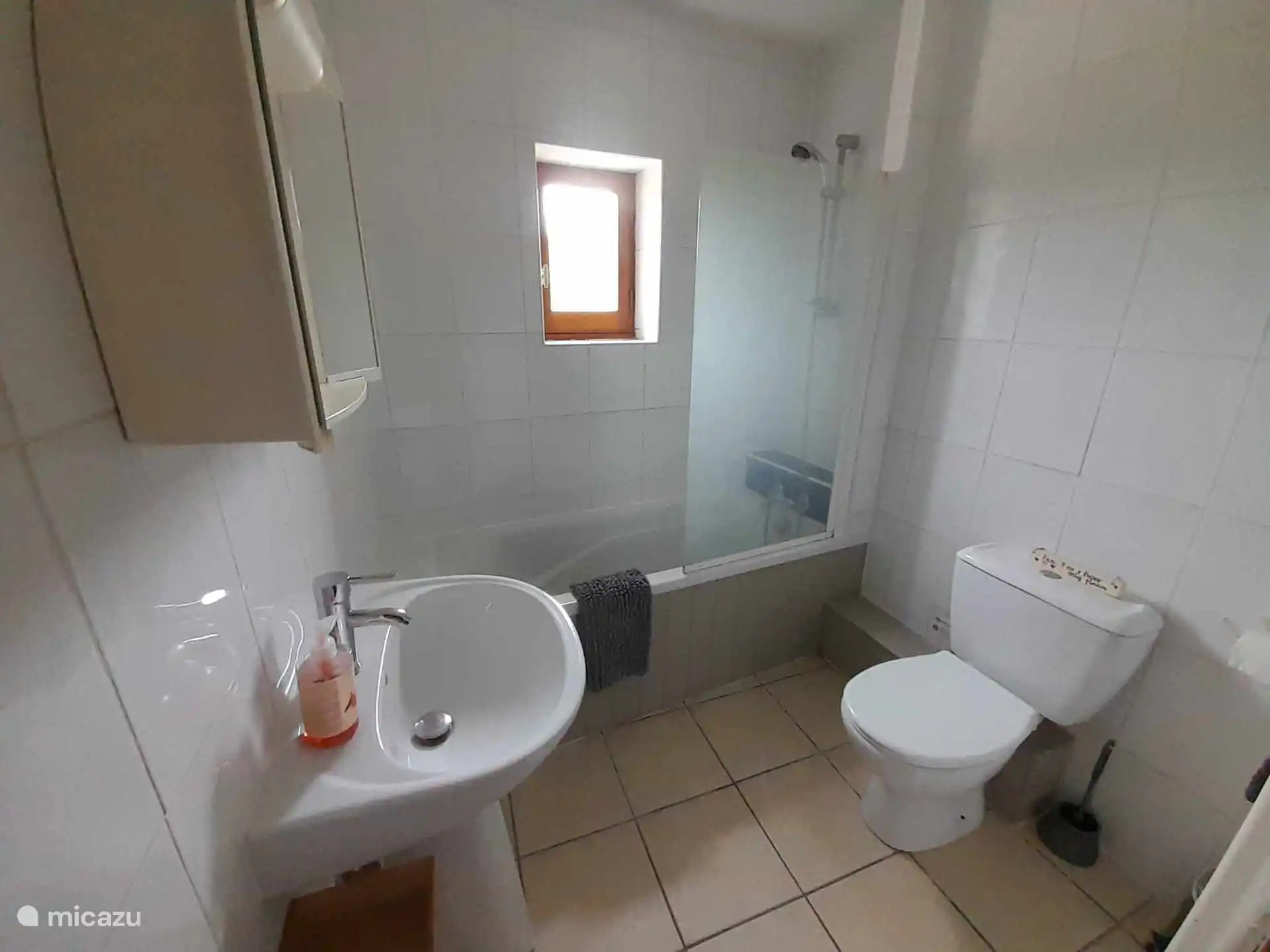 Badkamer met douche boven bad, er is ook een apart toilet