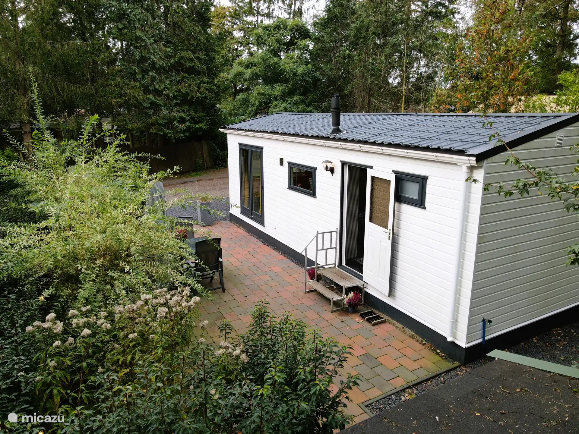 Bos Chalet Natura ligt heerlijk rustig tussen de bomen, met volop groen en privacy rondom.