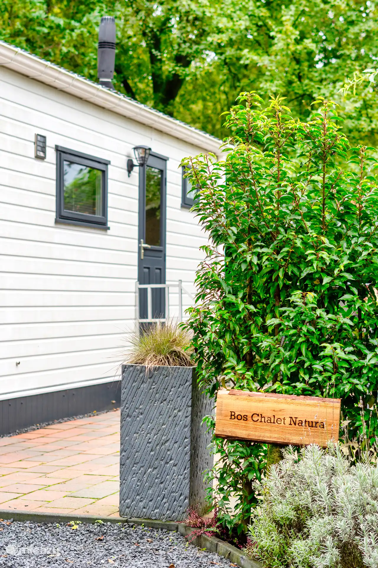 De entree van Bos Chalet Natura, omgeven door veel groen en privacy.