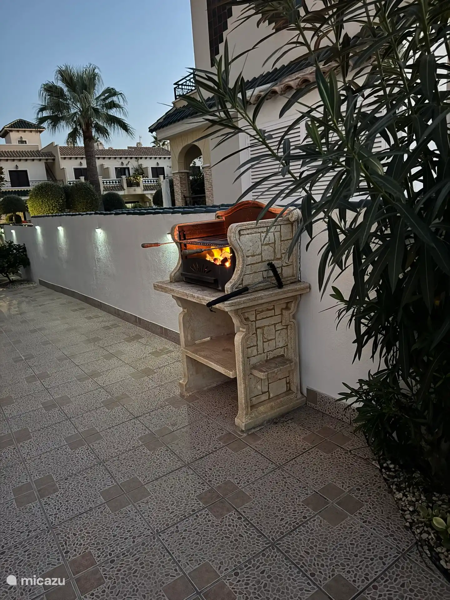 Festes Grillen im Seitengarten