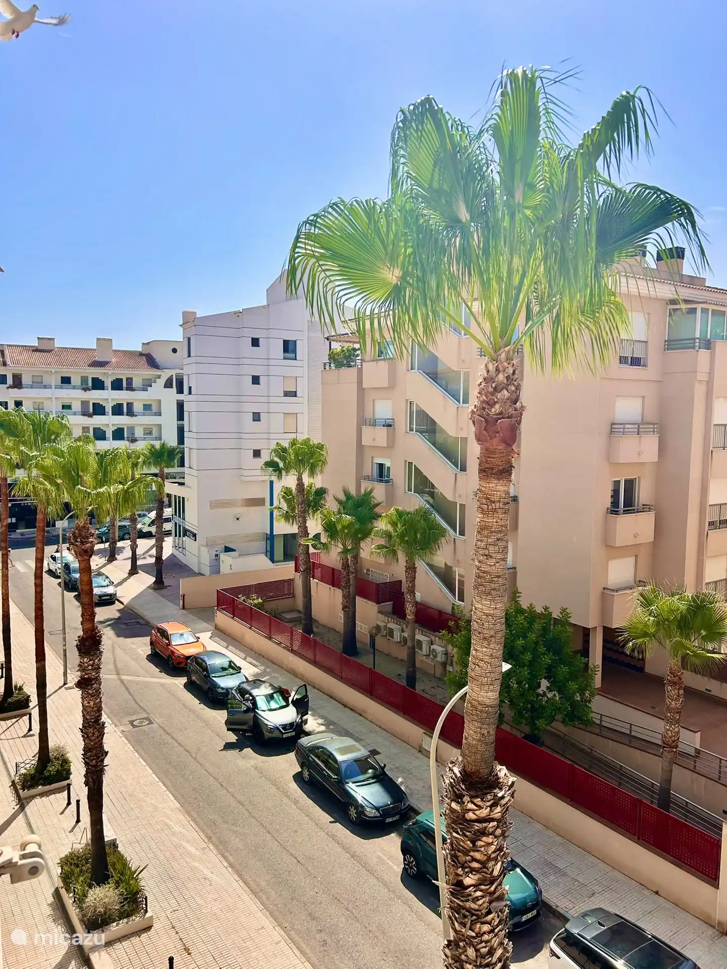Vistas desde la terraza.