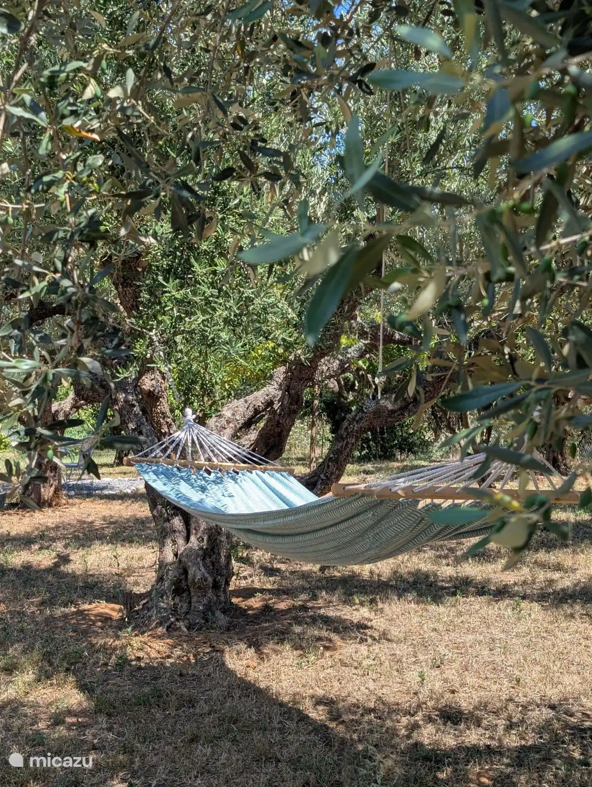 Relax