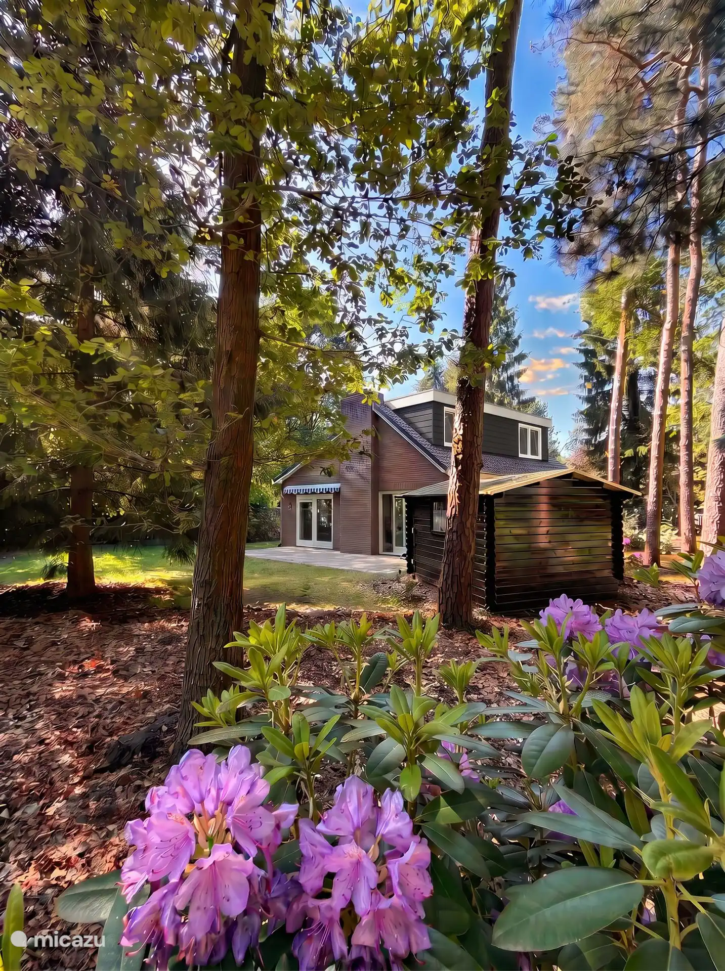 Het boshuisje op een ruim perceel van 850 m2
