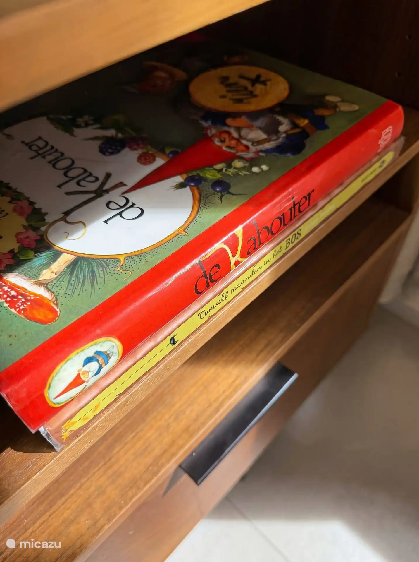 Boeken over het bos en kabouters voor kinderen