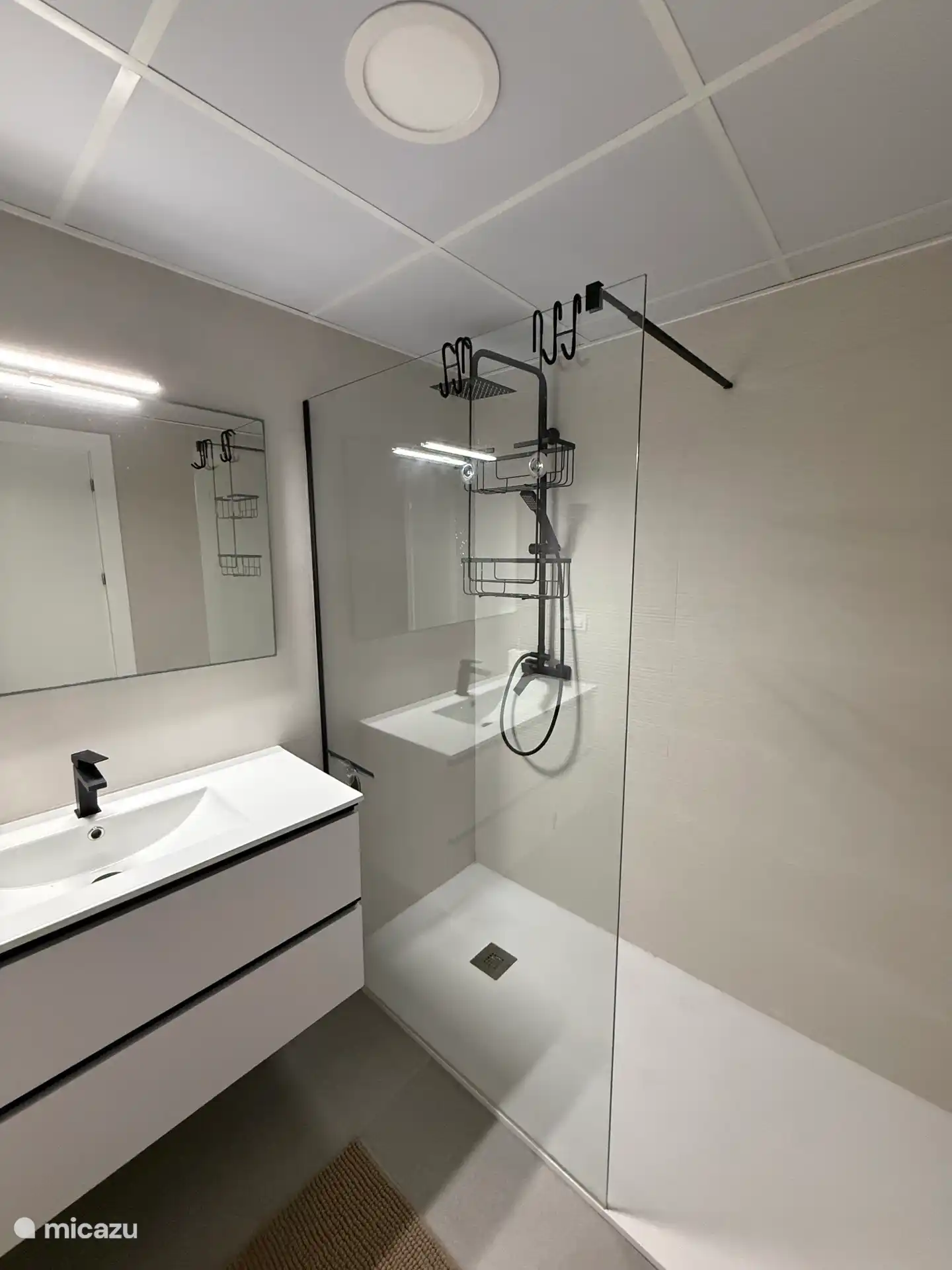 Walk-in shower