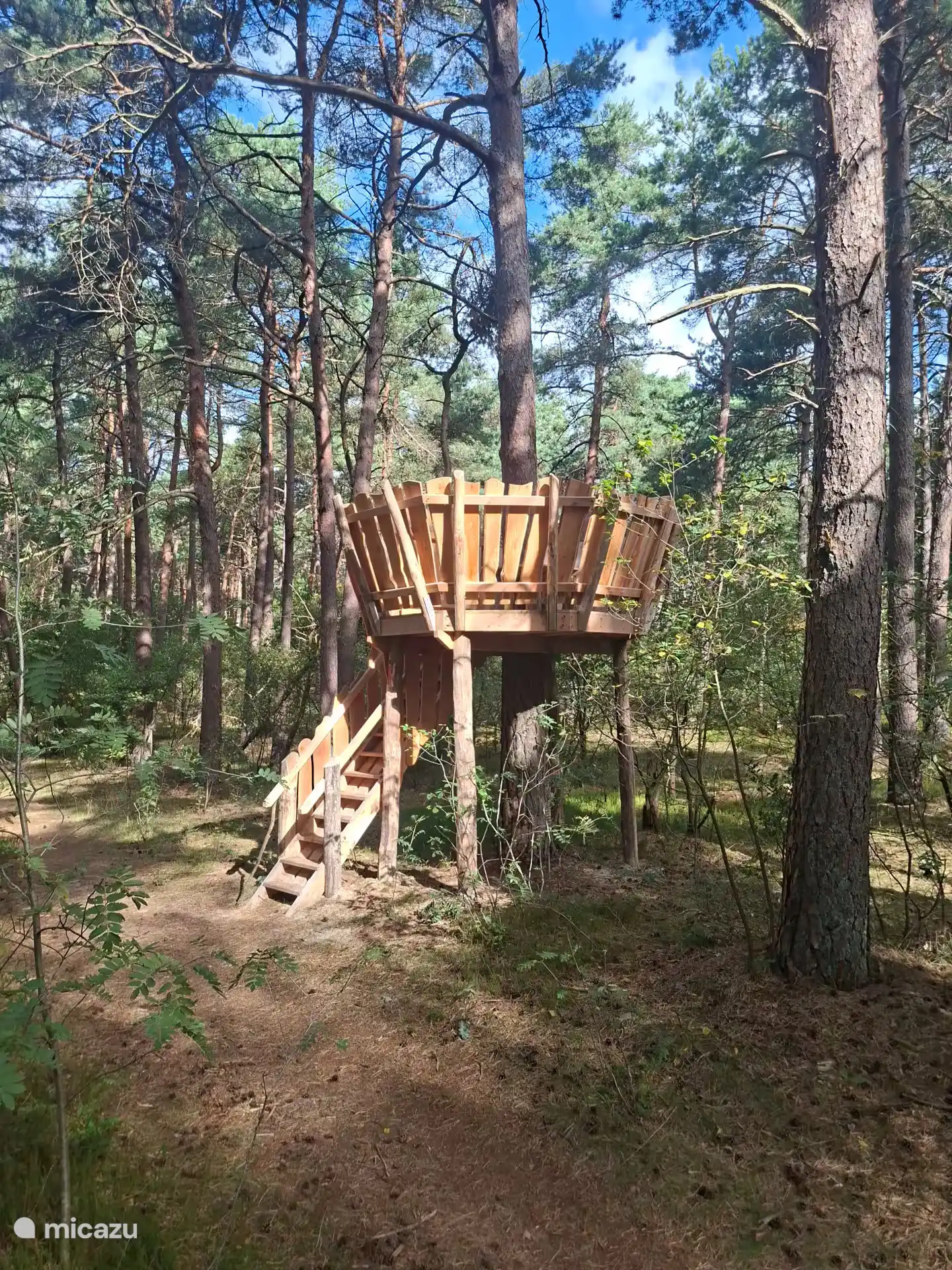 Boomhut de Zinzitter