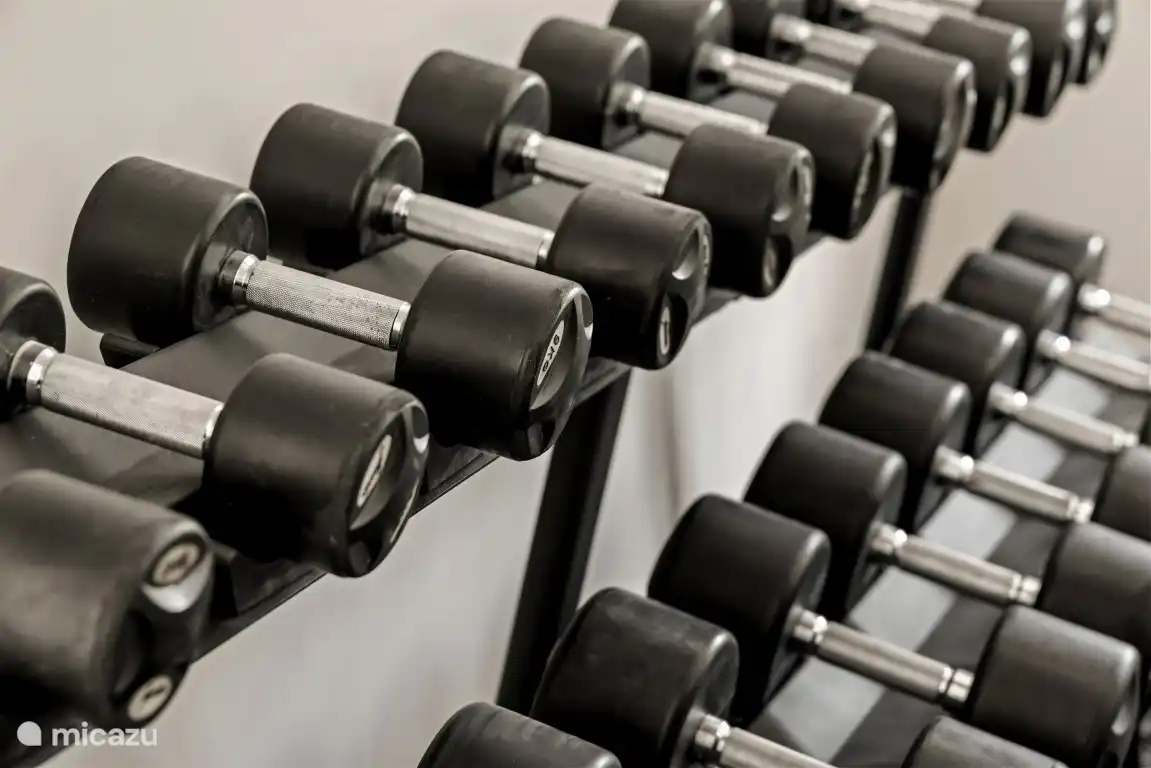 Mancuernas y pesas de hasta 150 kg en gimnasio privado