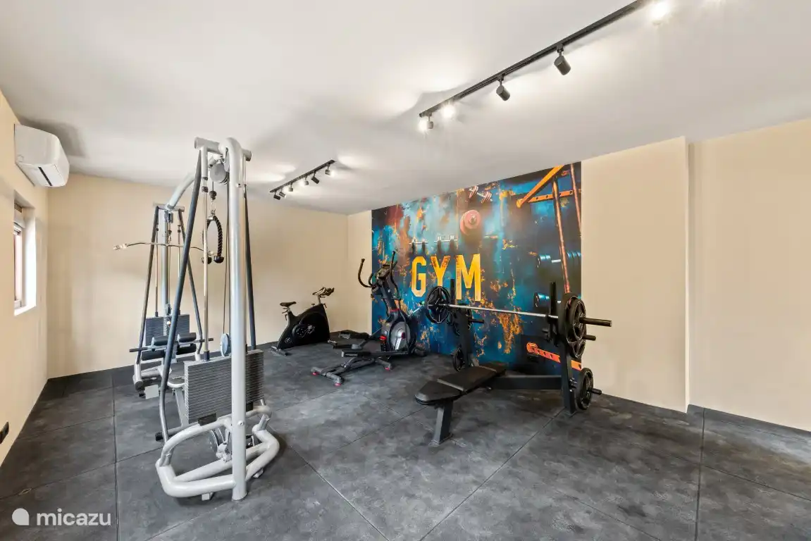 Gimnasio