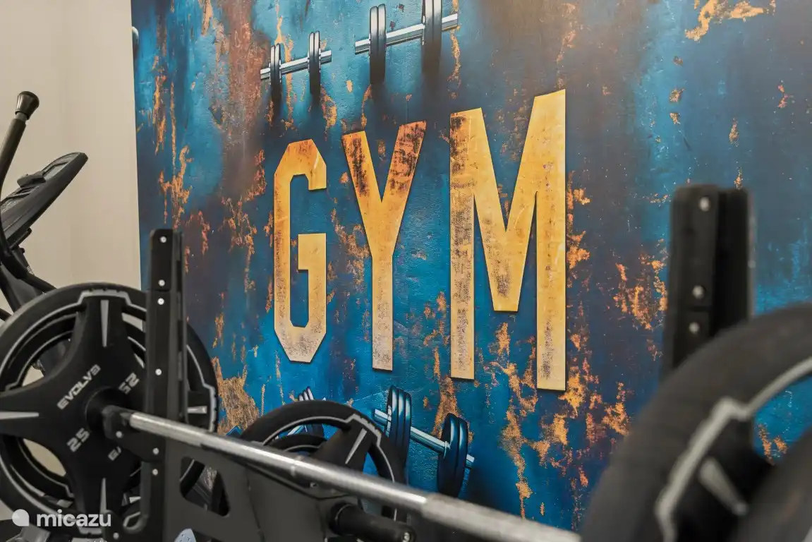Gimnasio