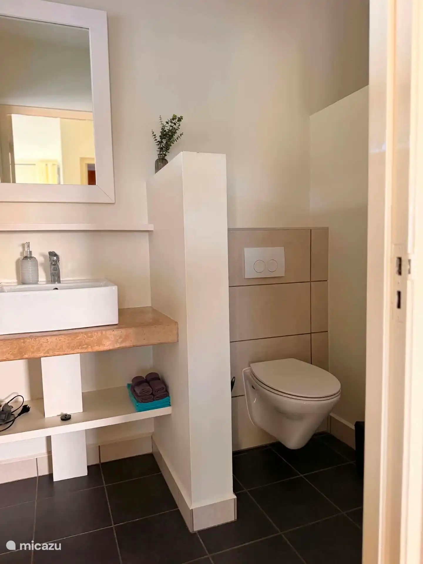 Volledige badkamer met inloopdouche.