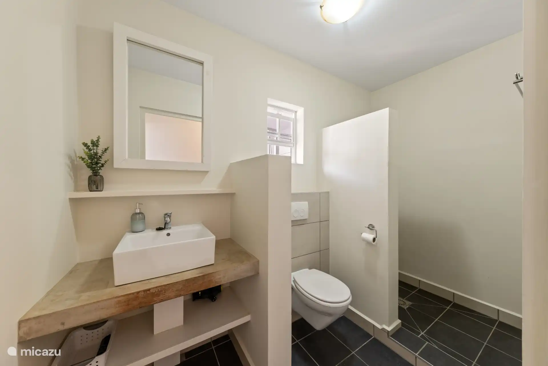 Volledige badkamer met inloopdouche.