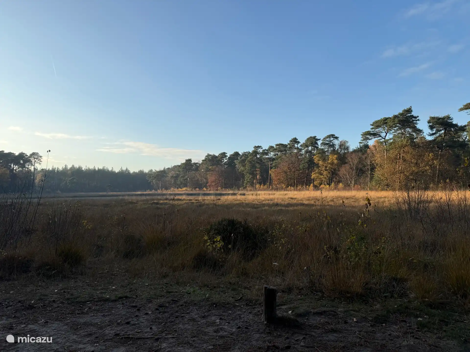 Foto durante el 'paseo por el lago' en Ommen