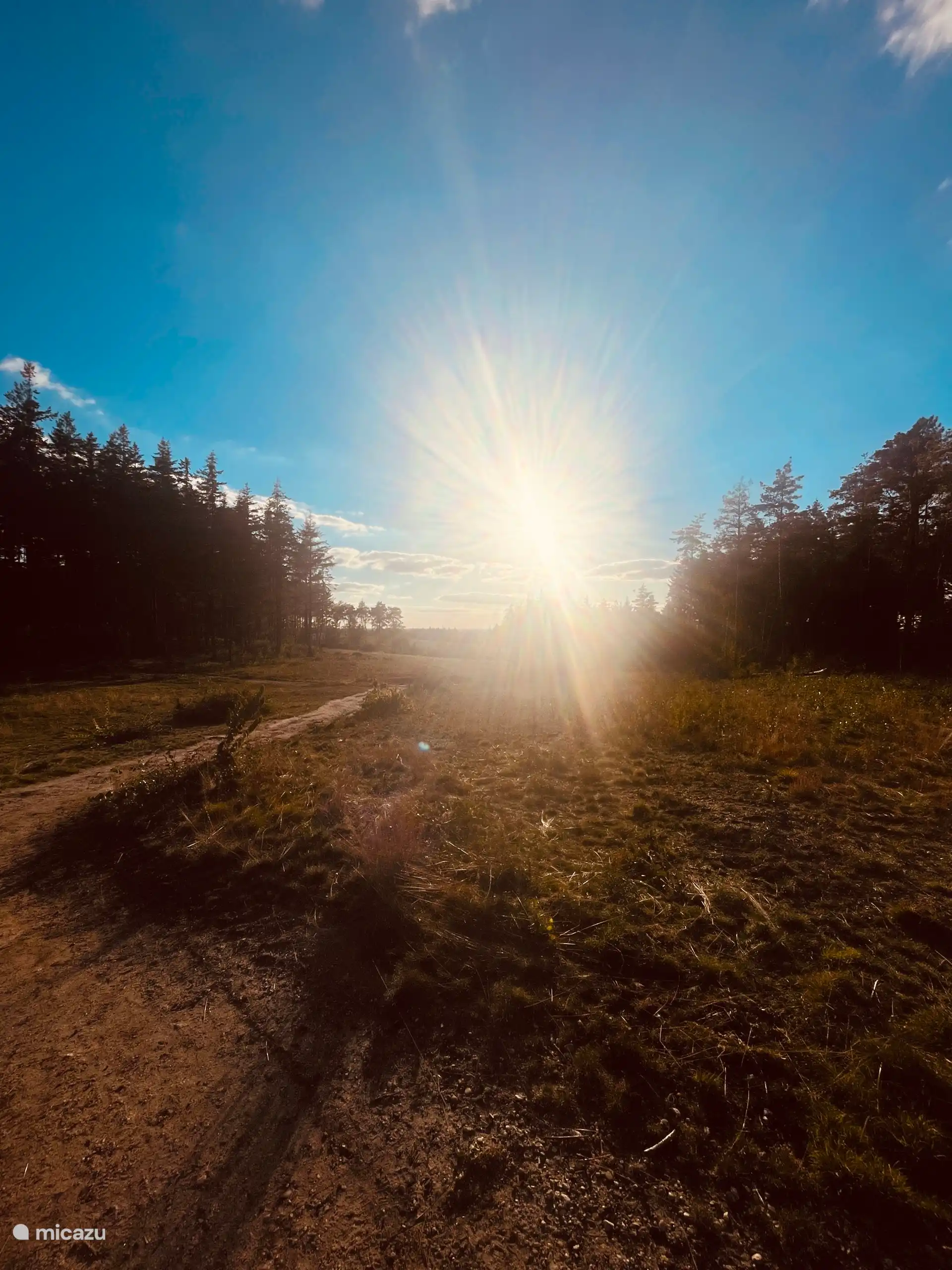 Foto durante el paseo por el Lemelerberg