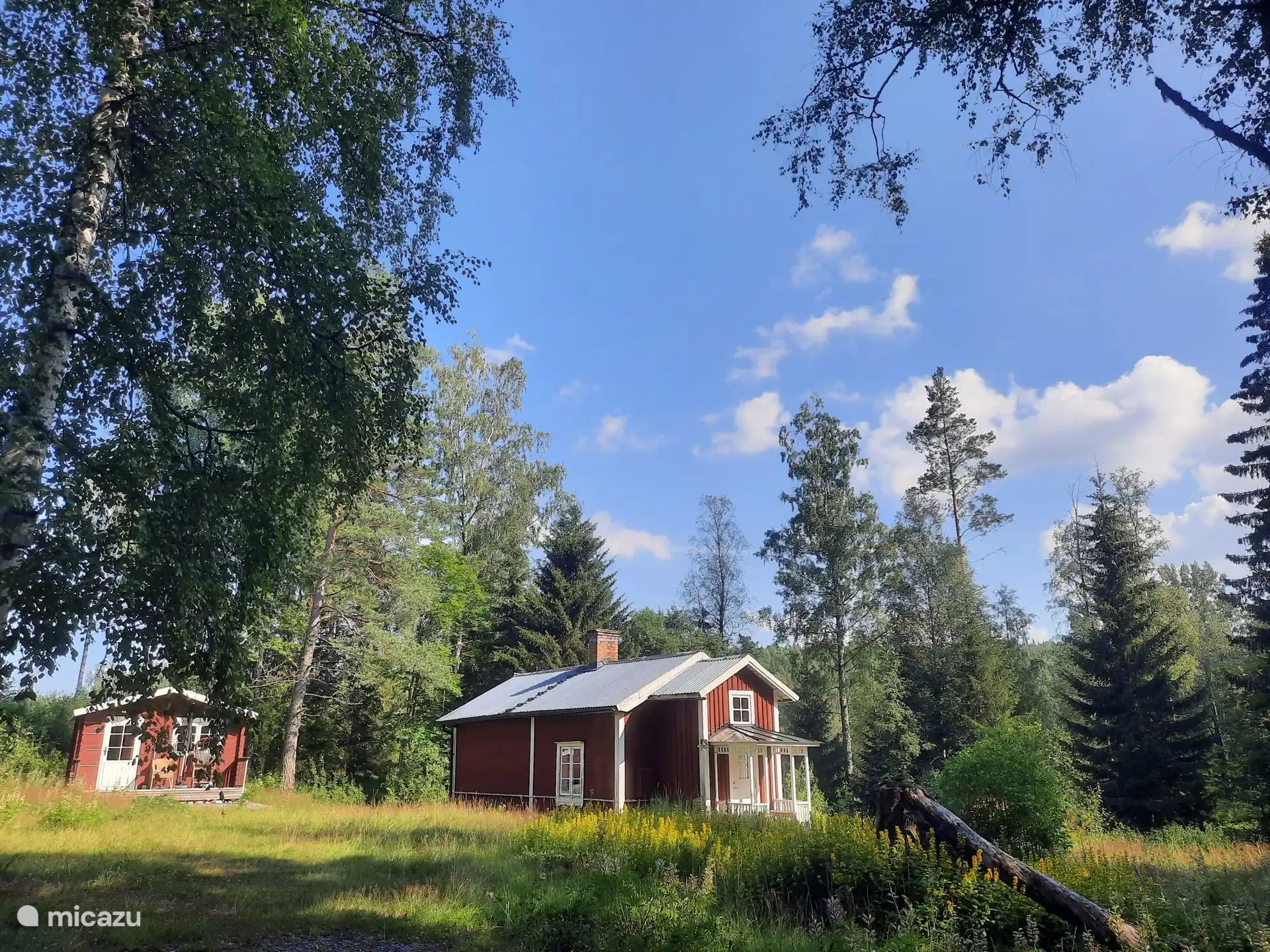 vakantiehuis in Zweden huren? – Vakantiehuis met afgezonderde locatie in het bos