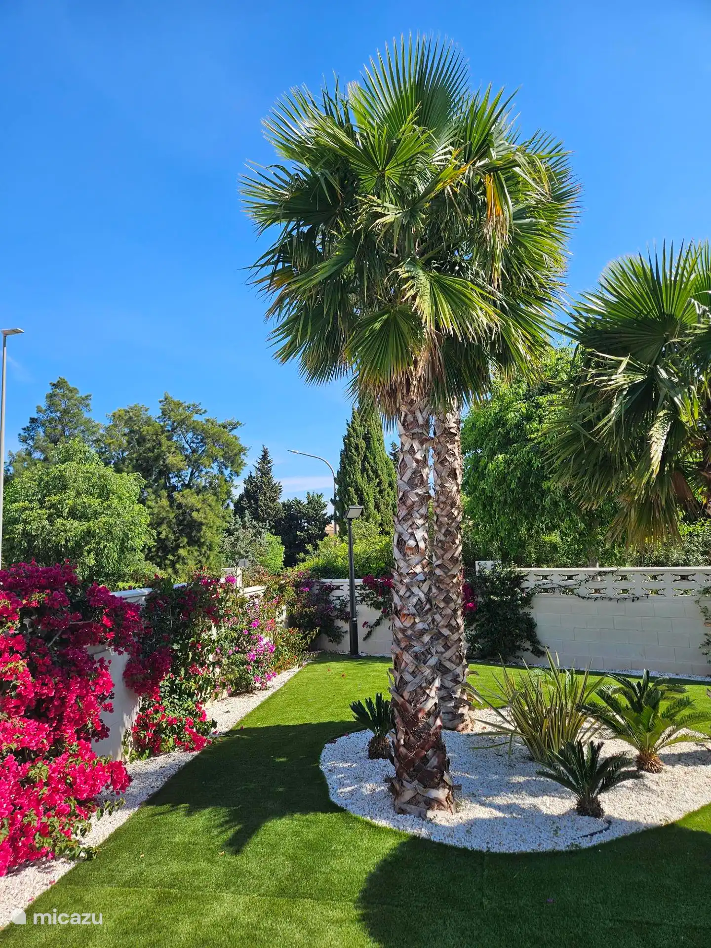Le jardin commun est magnifique, avec beaucoup de verdure et de palmiers attrayants qui offrent un merveilleux aspect méditerranéen.