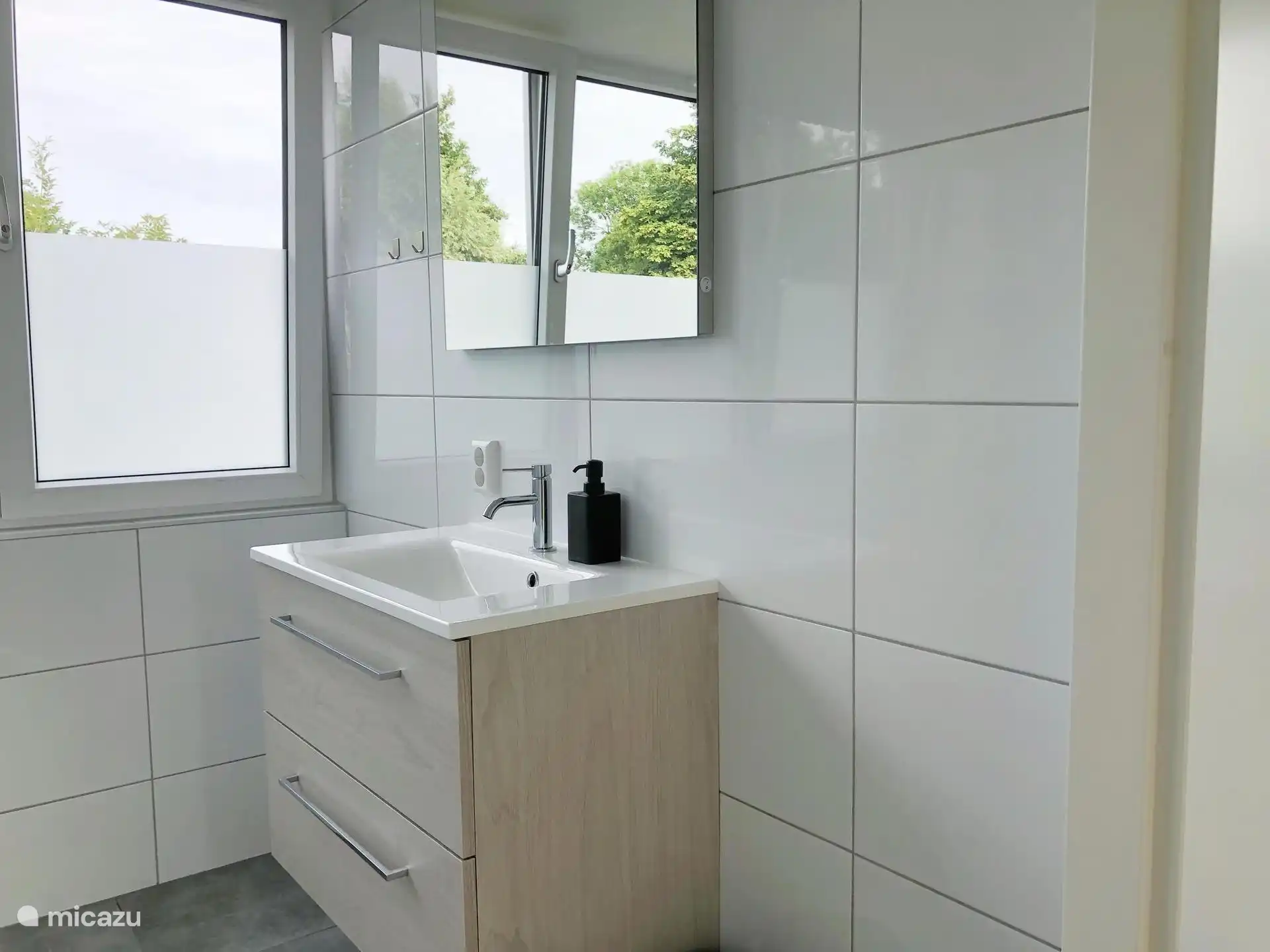Fregador del baño