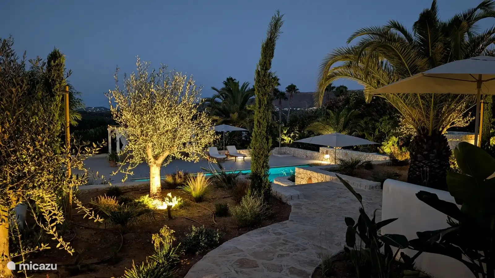 Olijfboom en mediterrane tuin sfeervol uitgelicht in de avond. Zo geniet je tot laat van de zwoele zomernachten buiten.