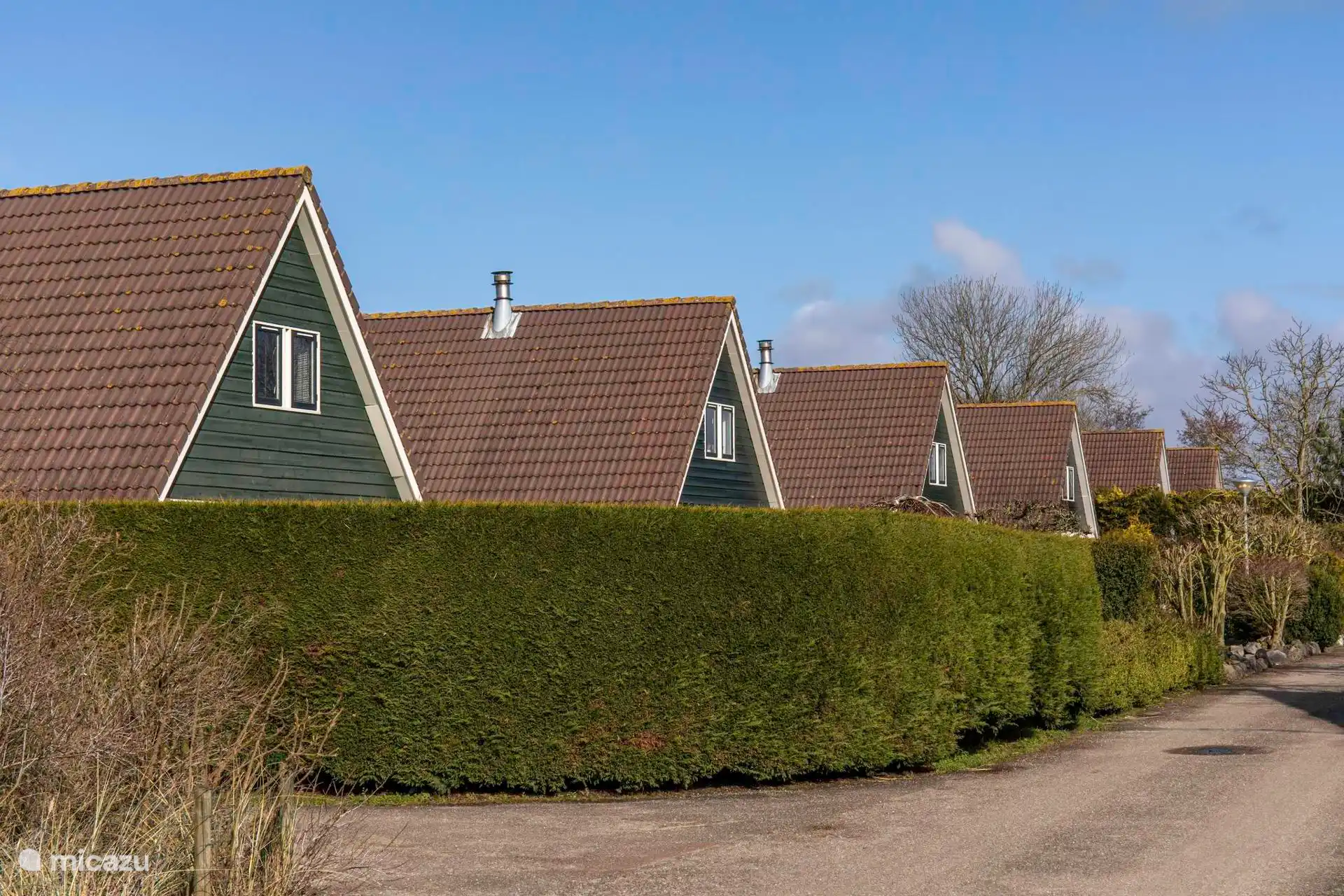 Woningen op het park