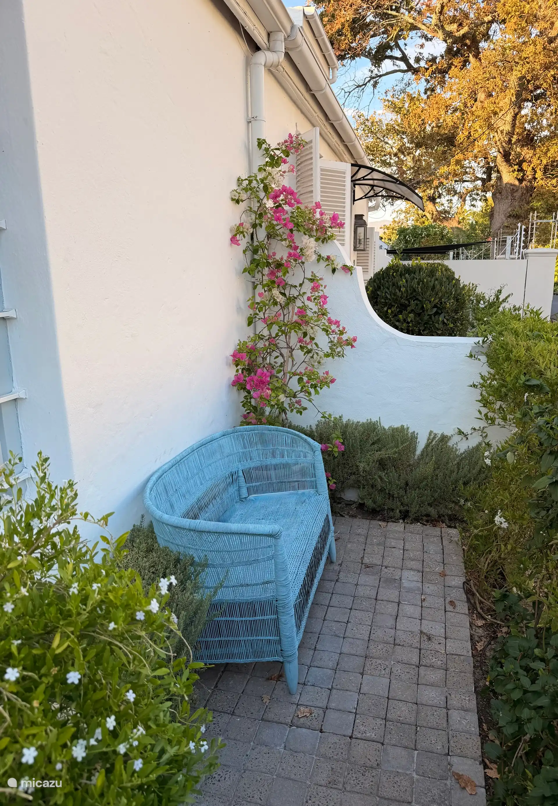 Patio front house