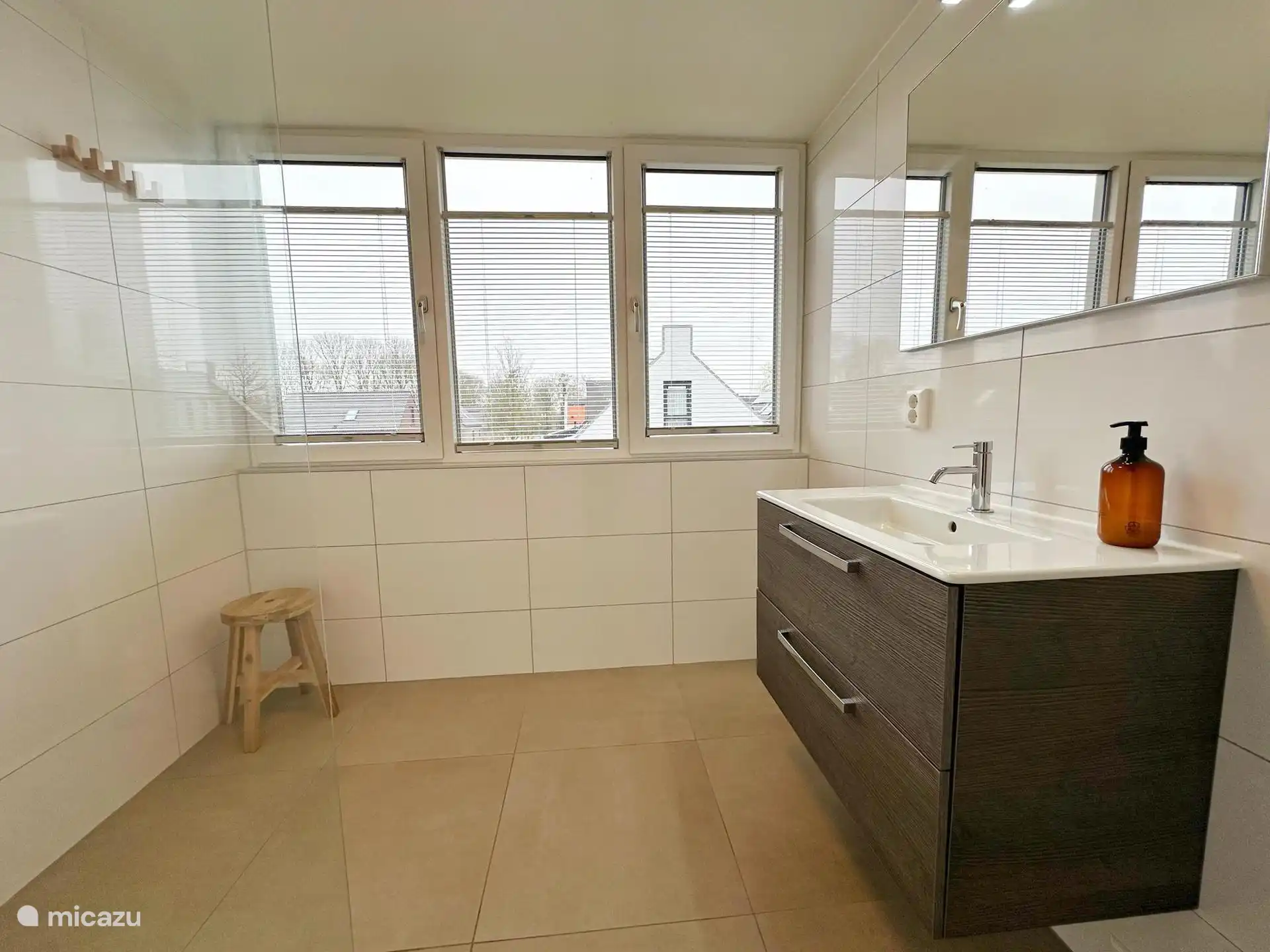 Fregador del baño