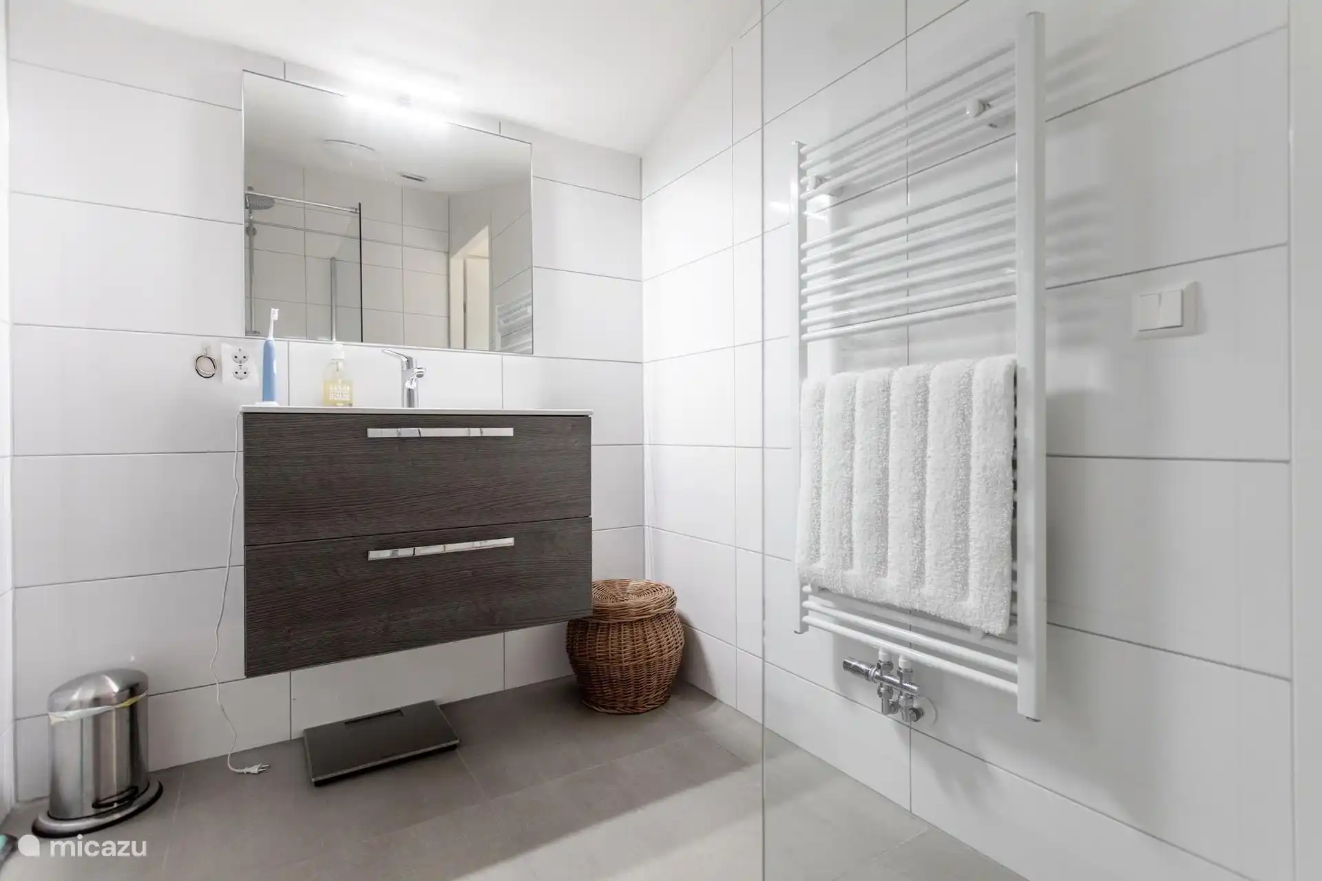 Fregador del baño