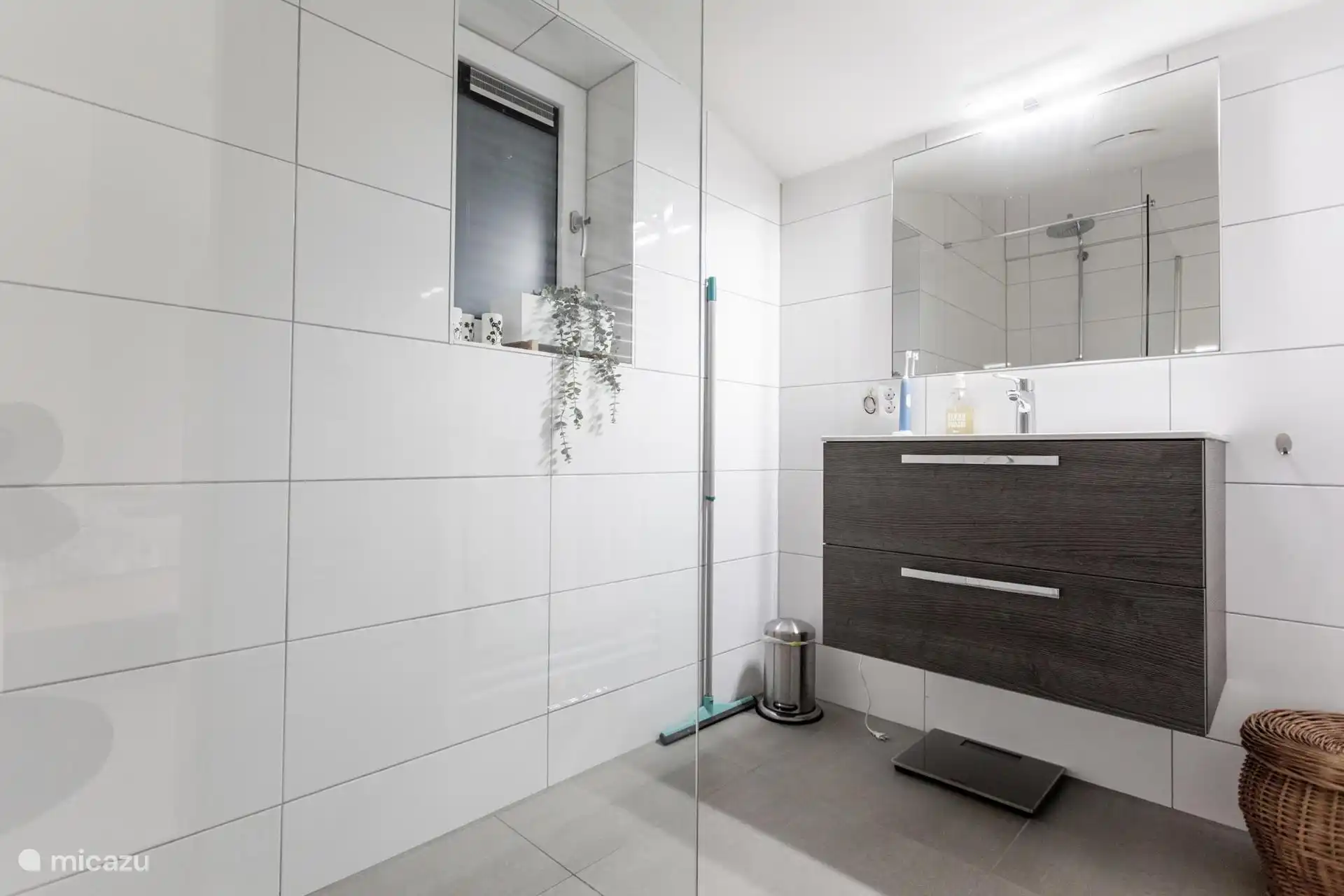 Fregador del baño