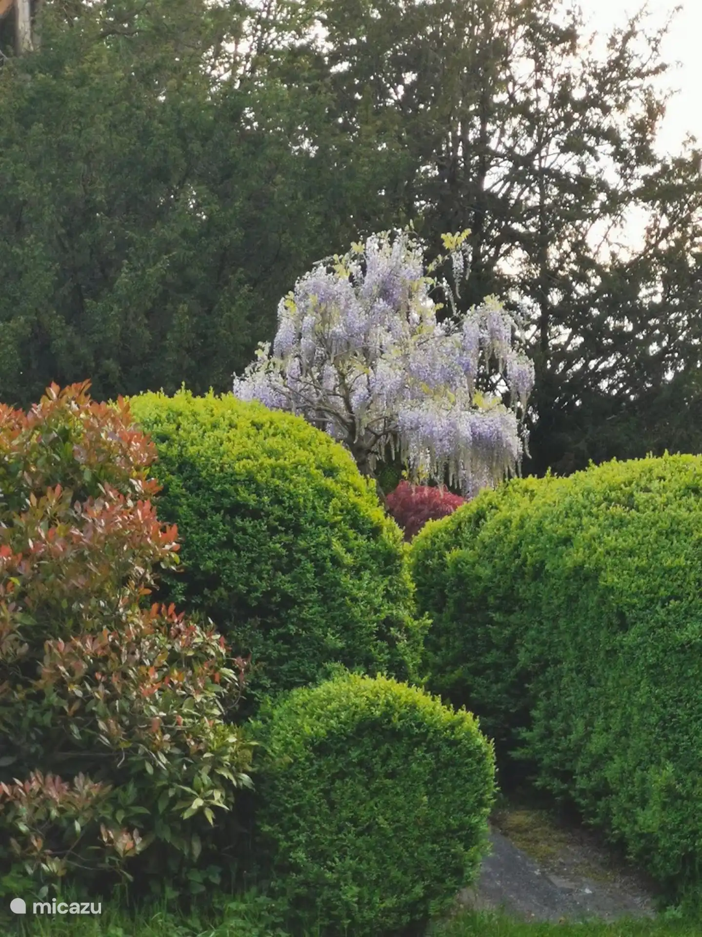 terras tuin