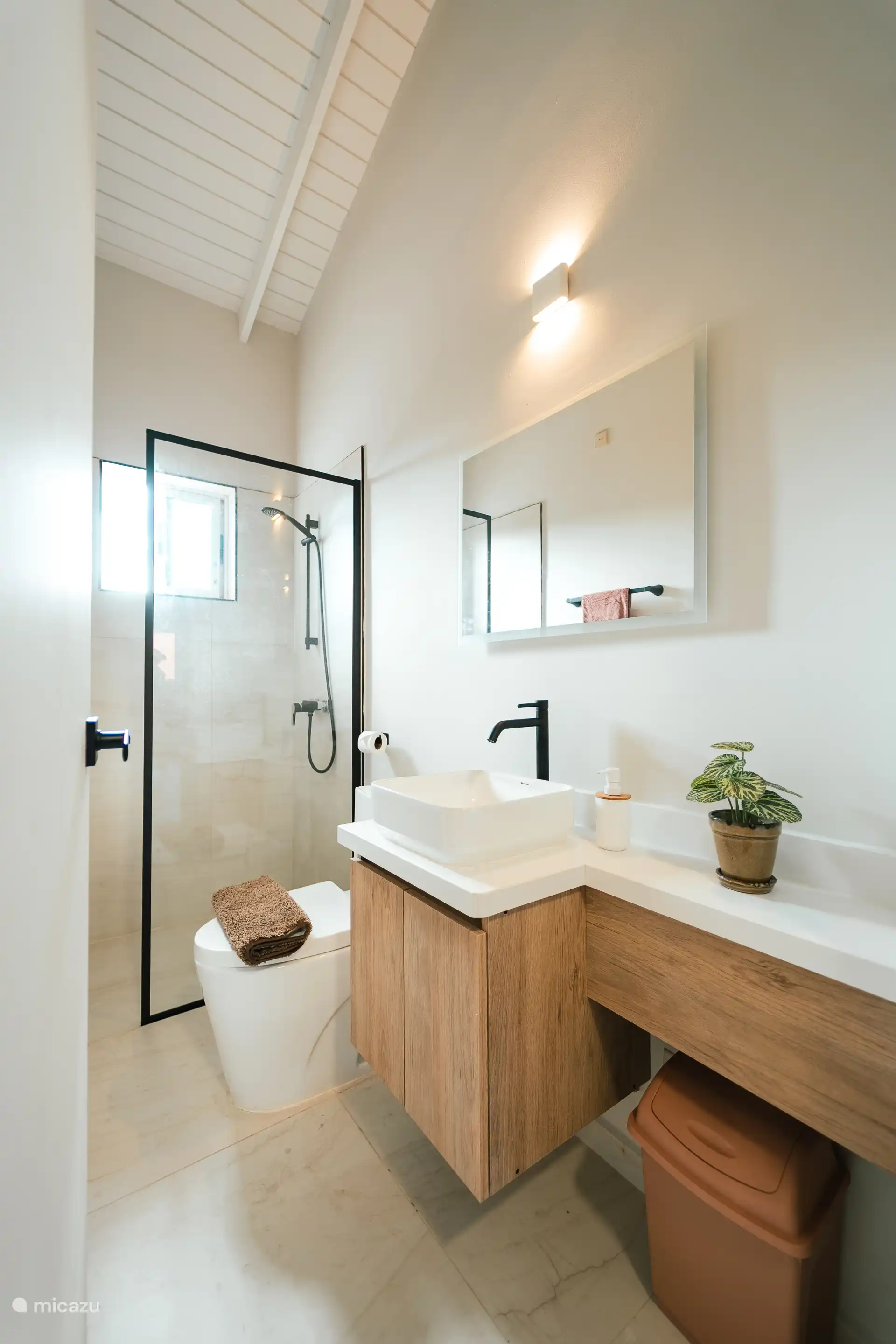 Badkamer 1 met douche, wastafel en toilet